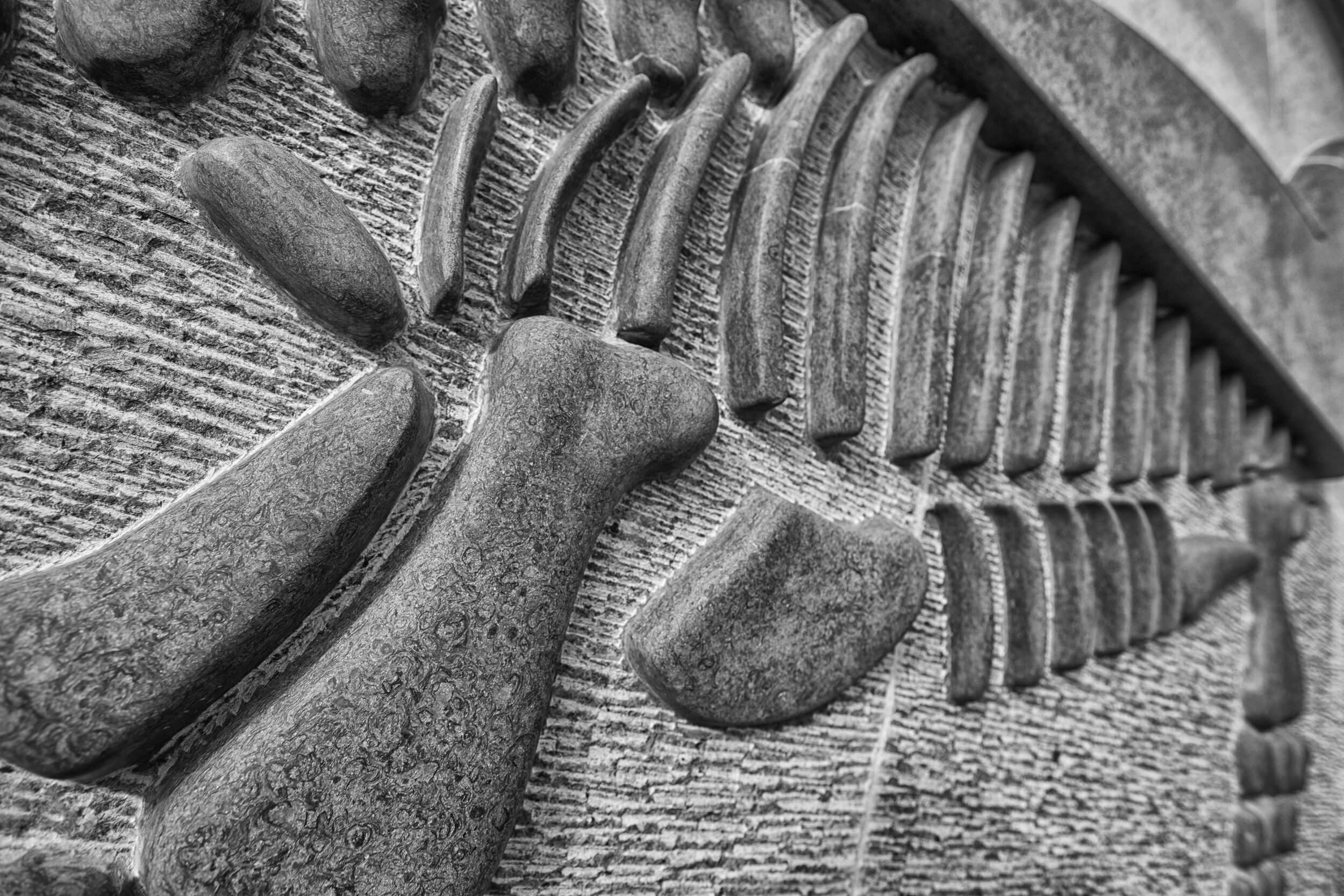 The Etches Collection