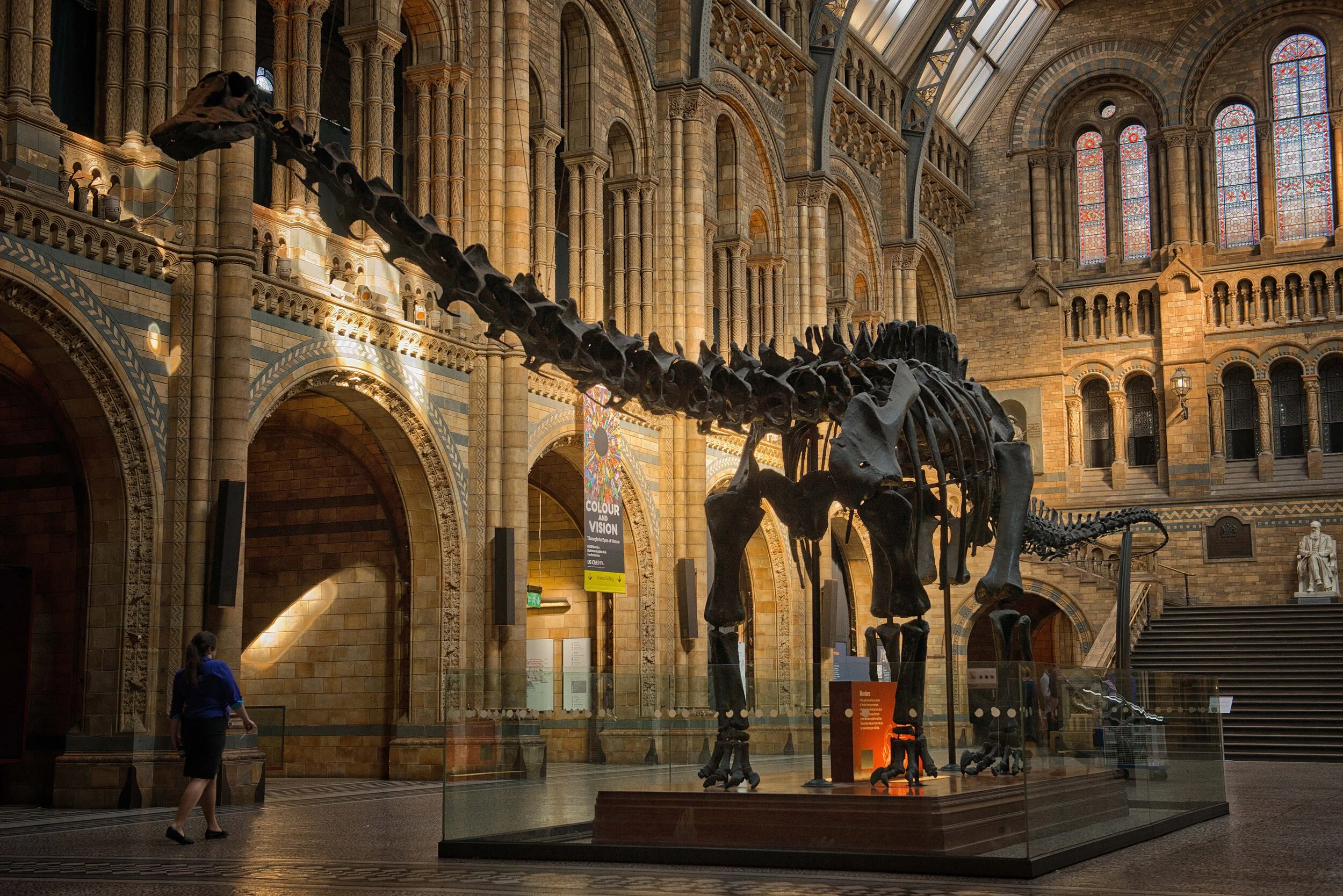 dippy.jpg
