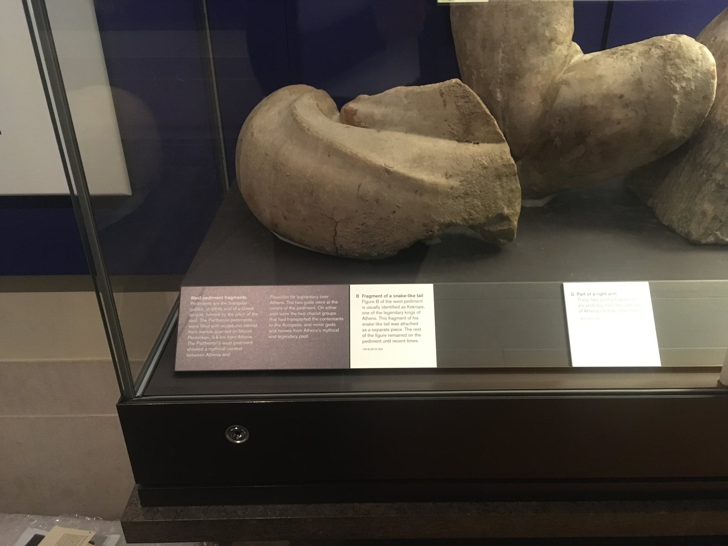 IMG_2496.jpeg
