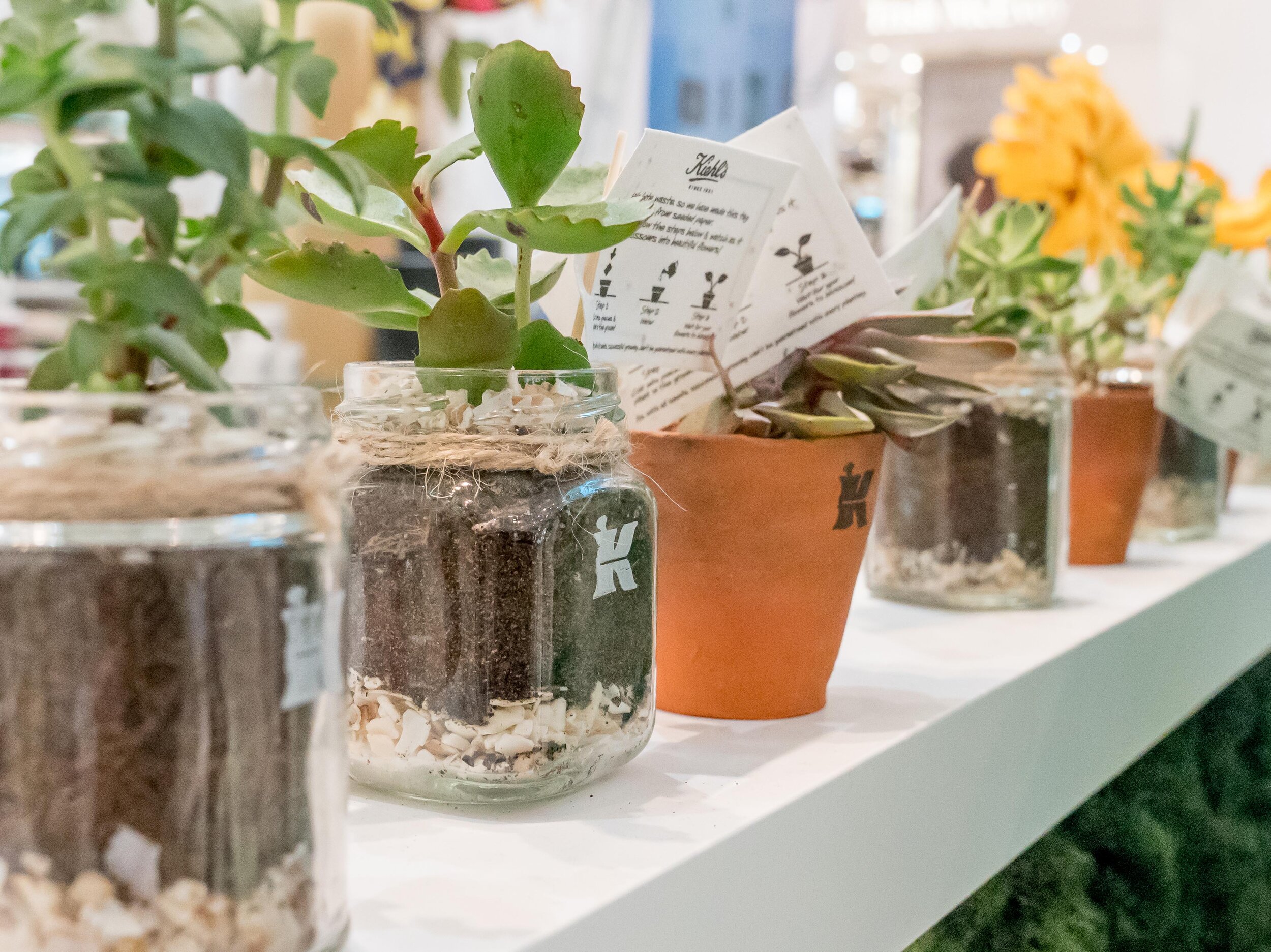 Kiehl's Project Earth