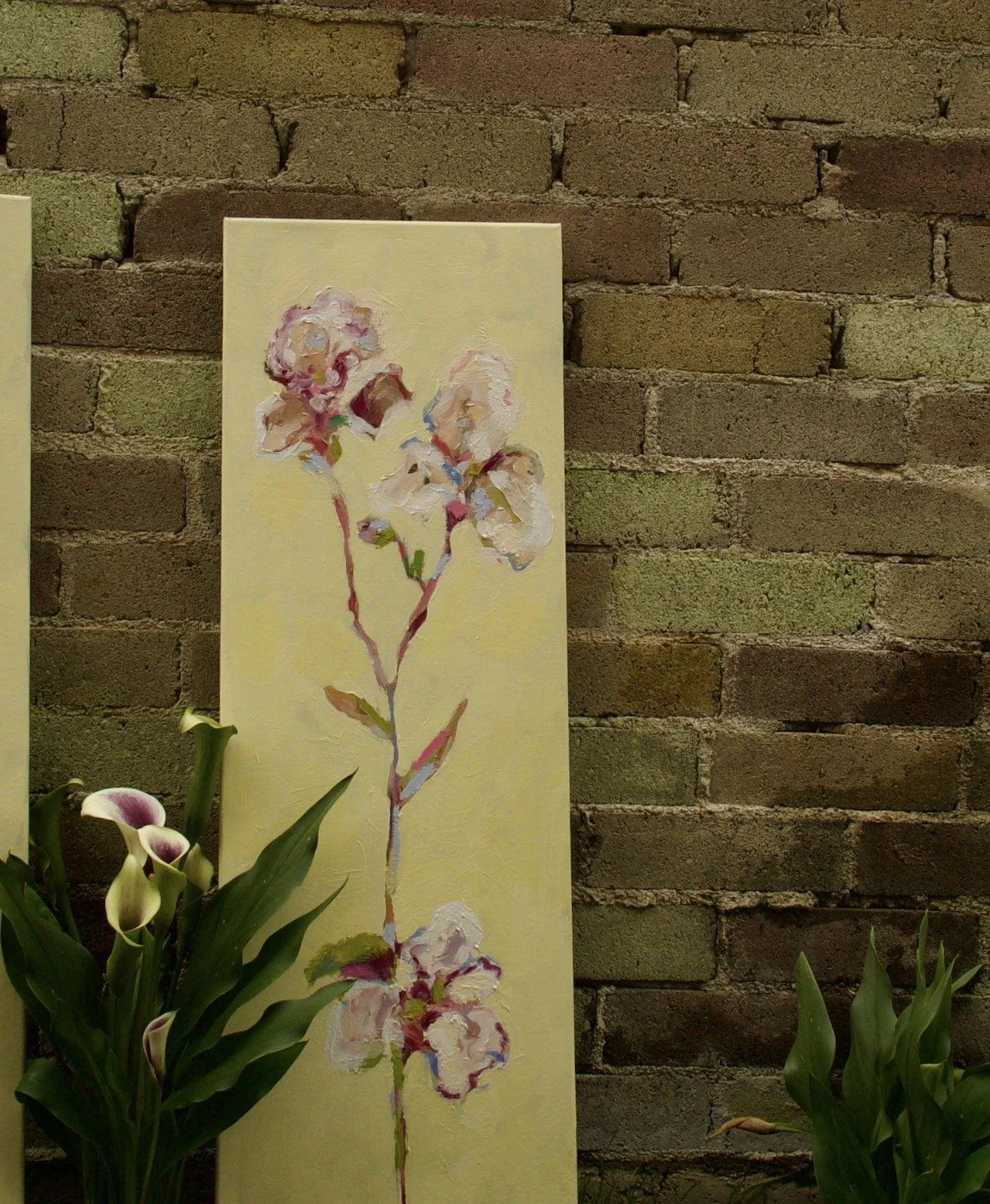 Iris No. 2