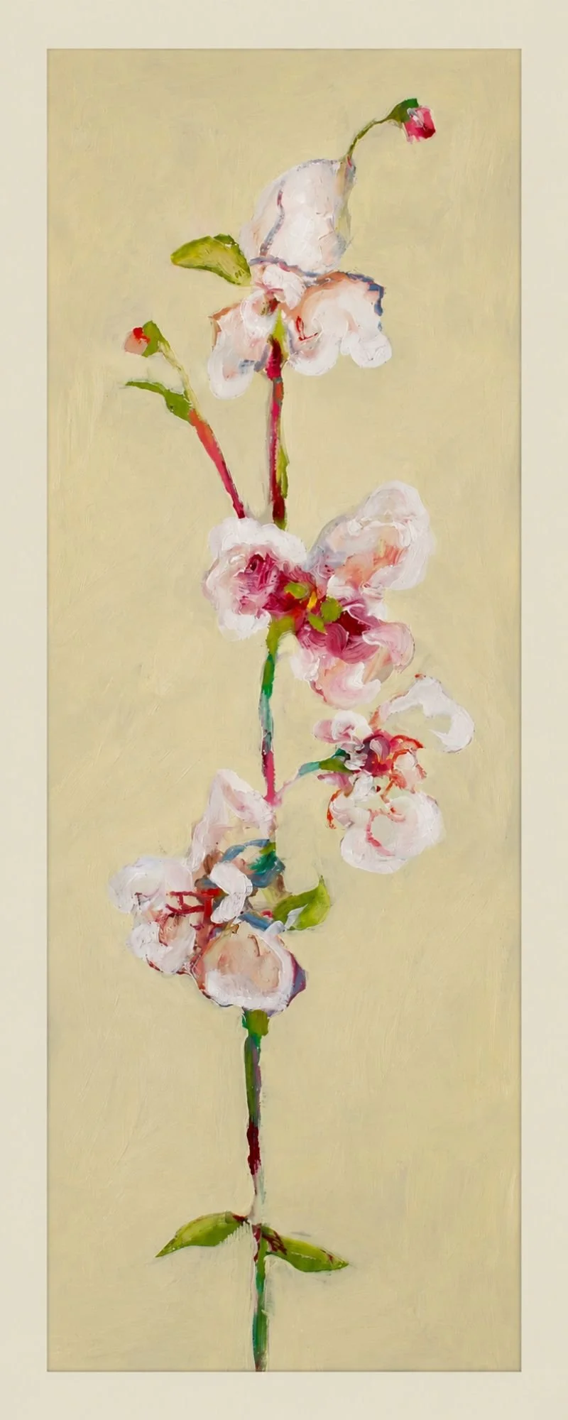 Iris No. 1