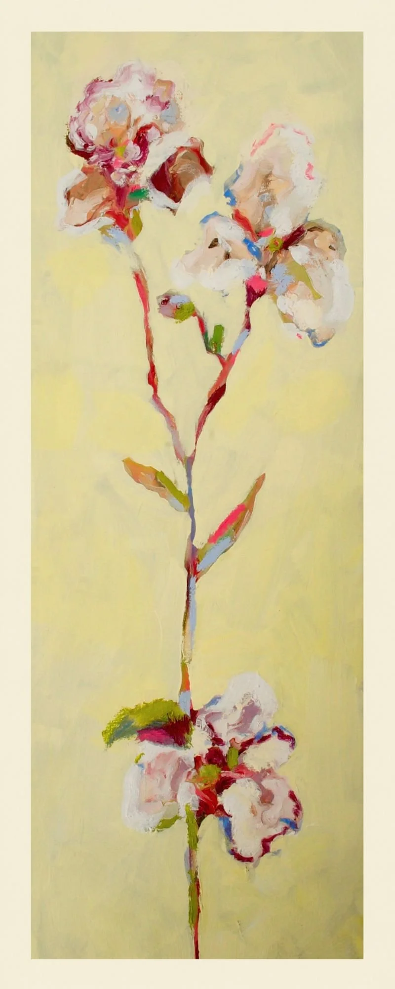 Iris No. 2