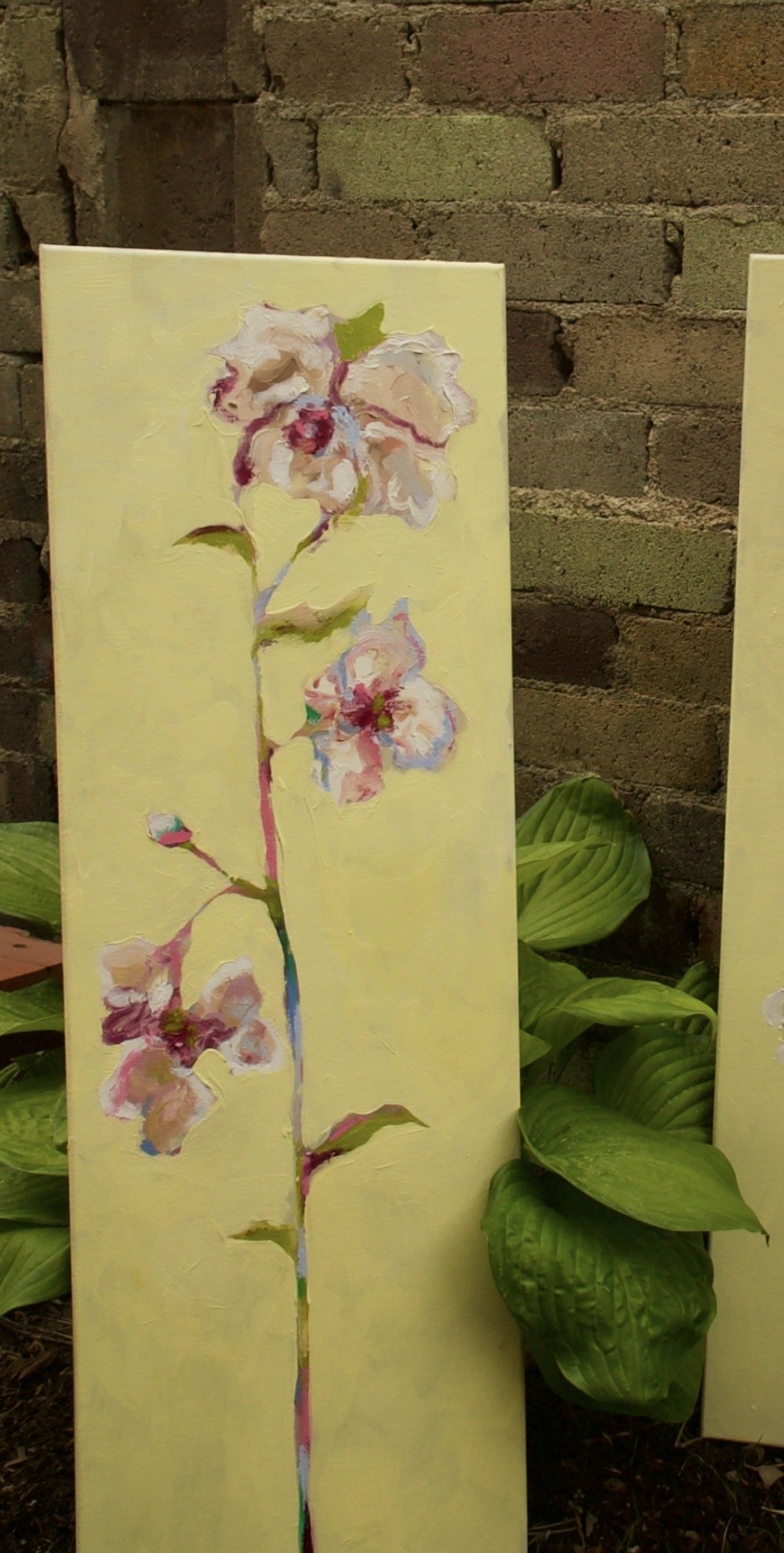 Iris No.3