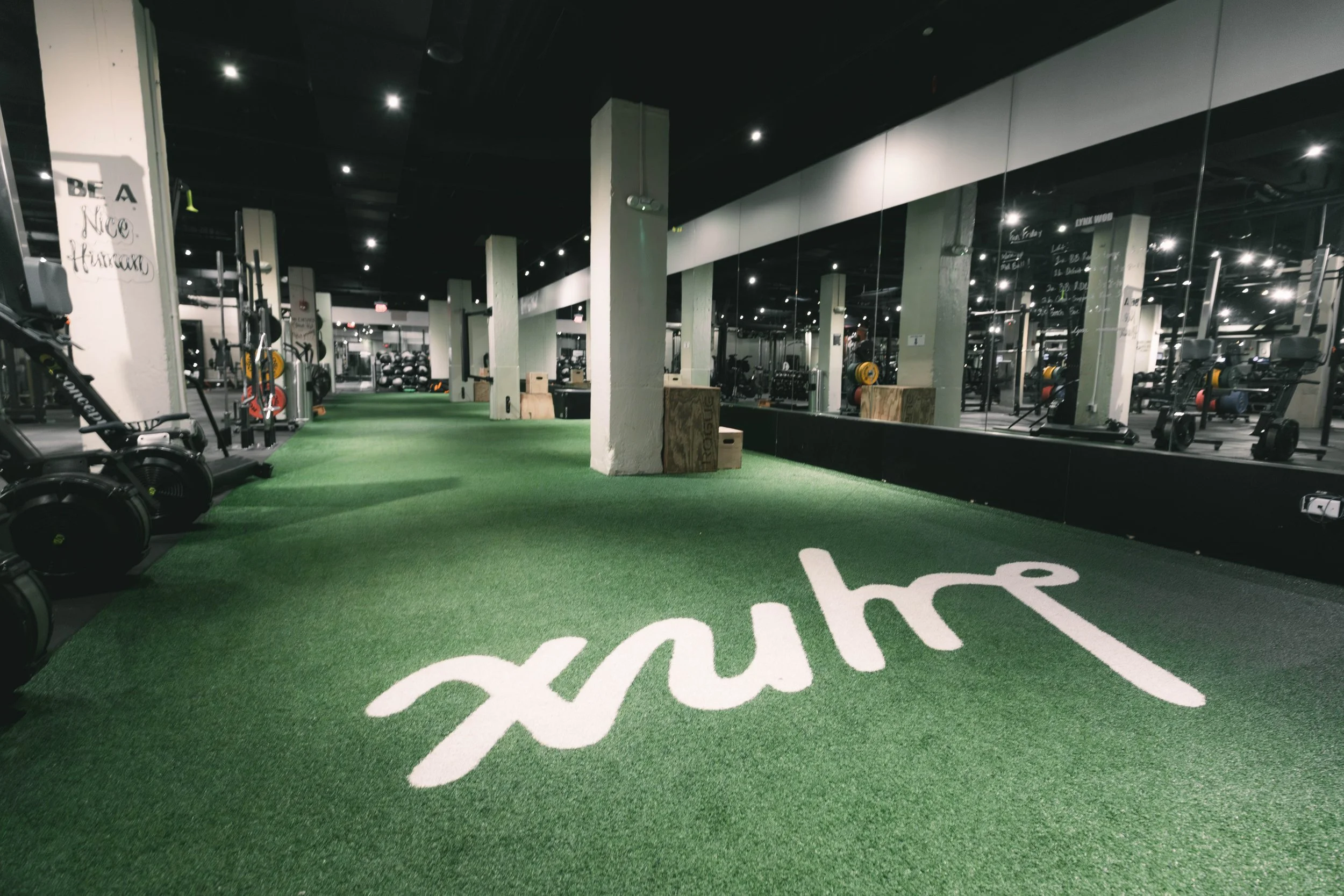 Lynx Fitness Club