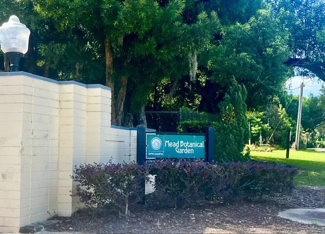 Mead Entrance.jpeg