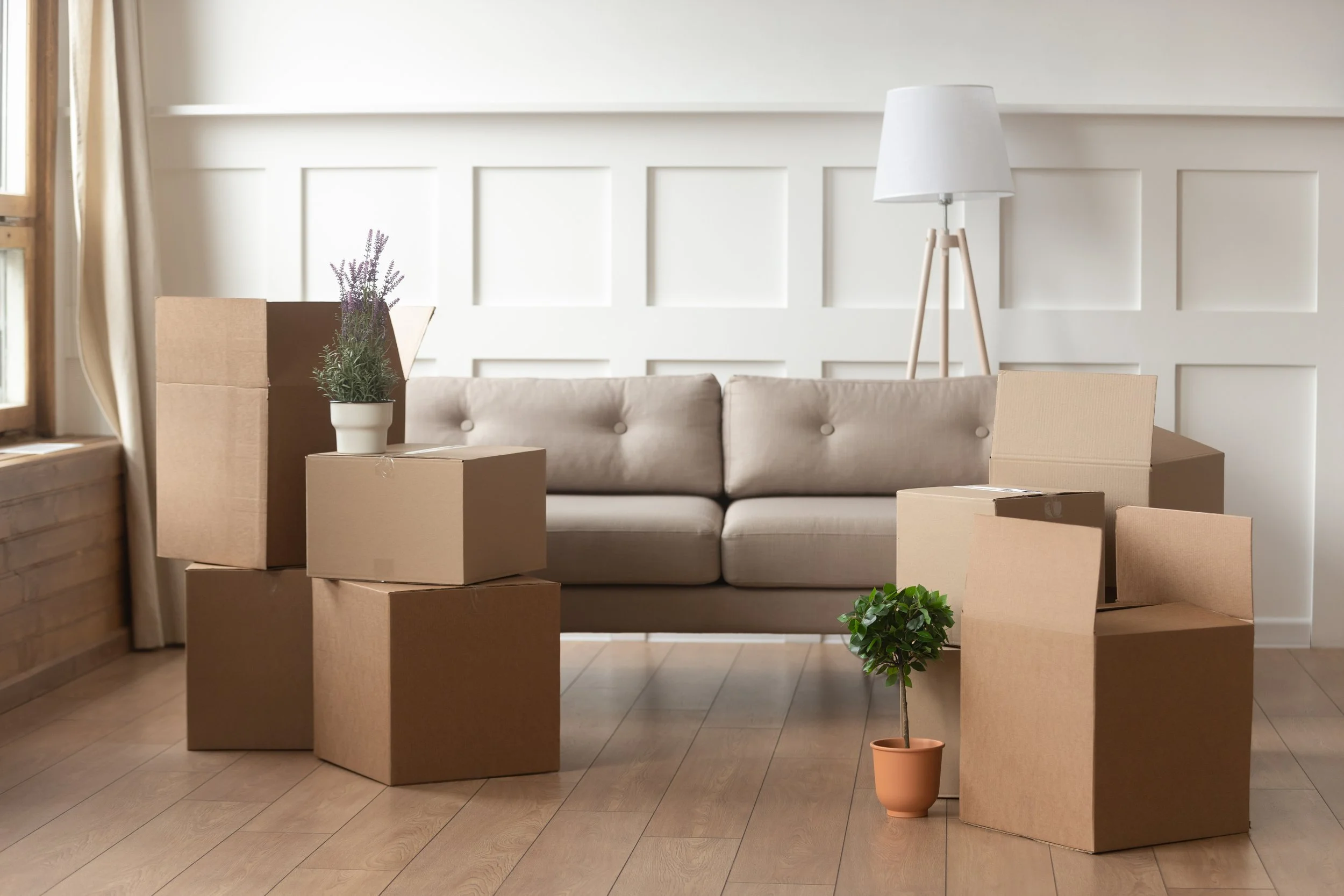iStock-1158481663.jpg