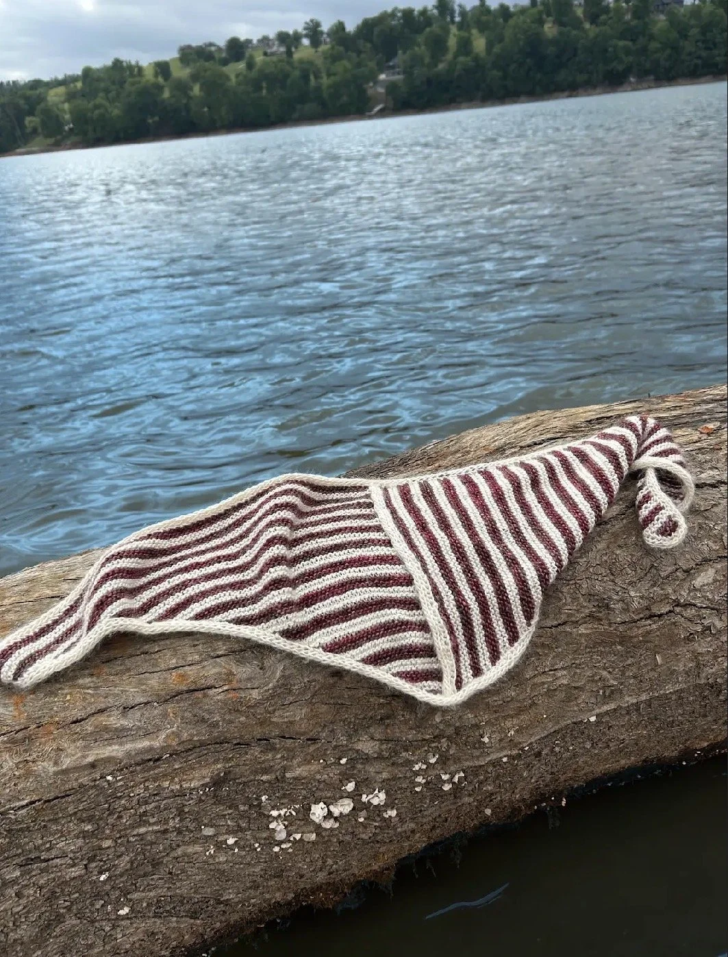 Boardwalk Scarf by Devin King.jpeg