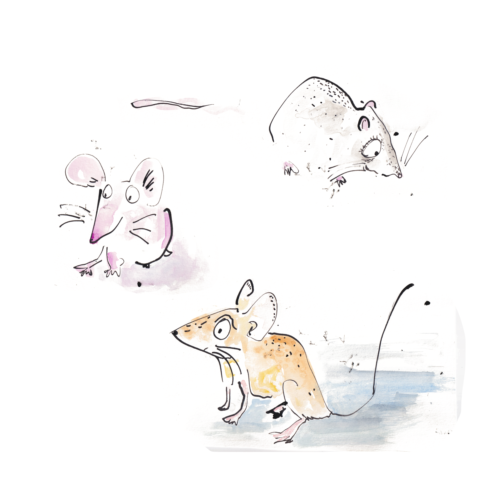 Mice with white background_.png