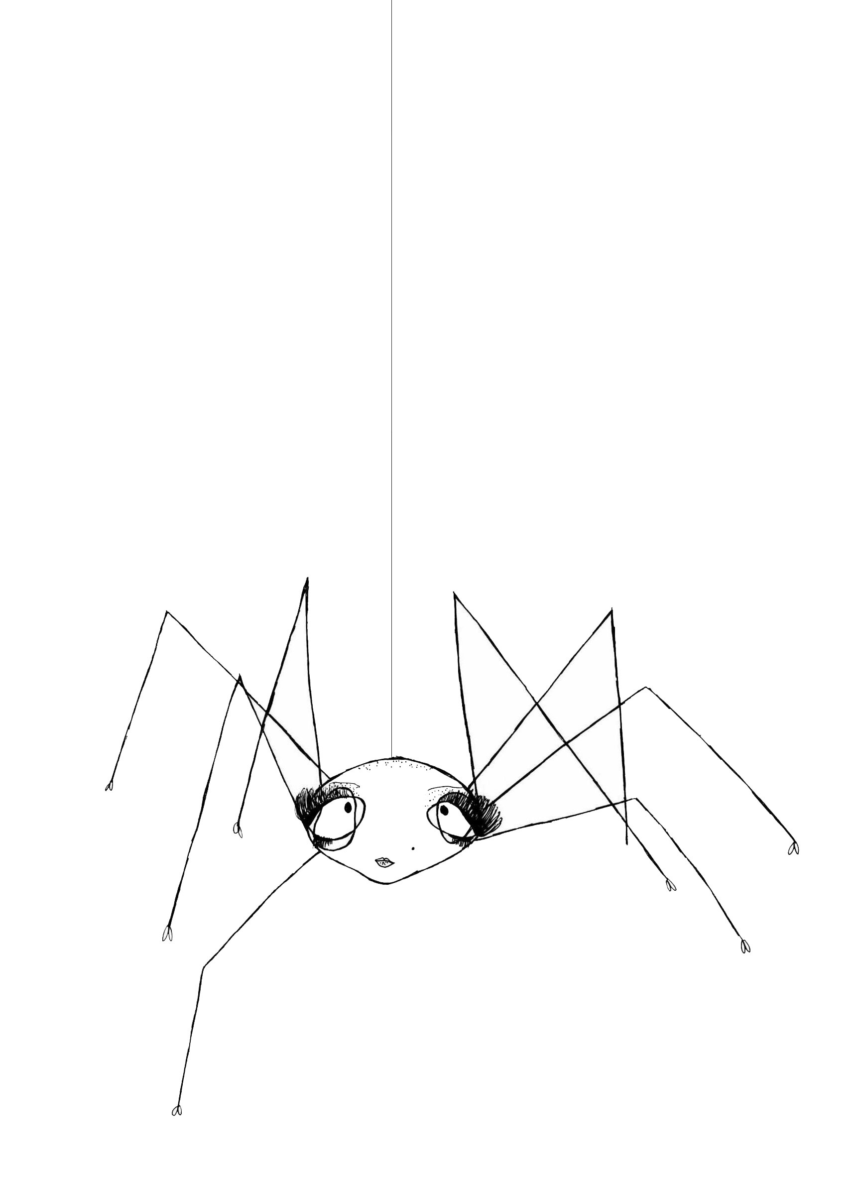 Spider, extra white background.jpg