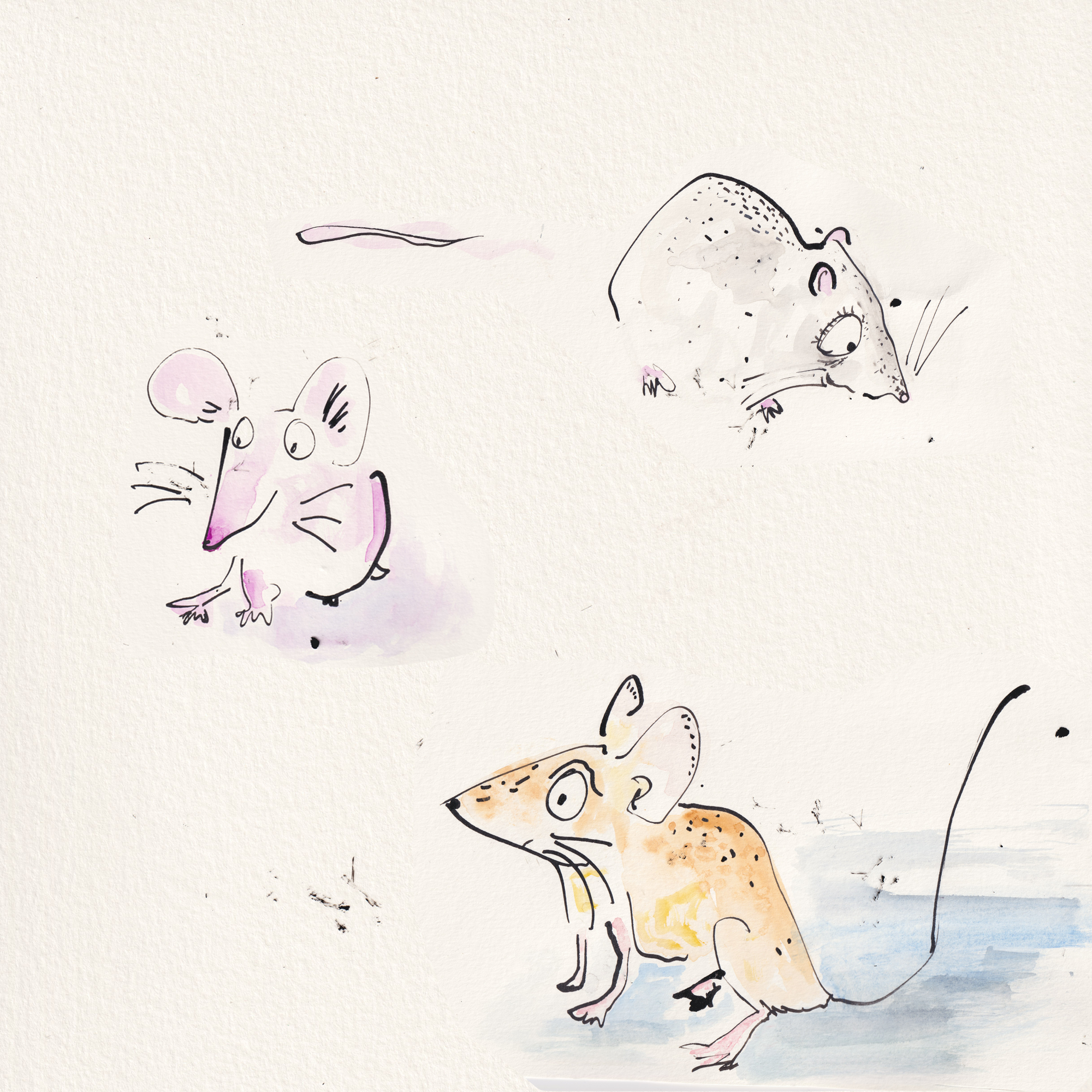 MICE PSD_ copy.png