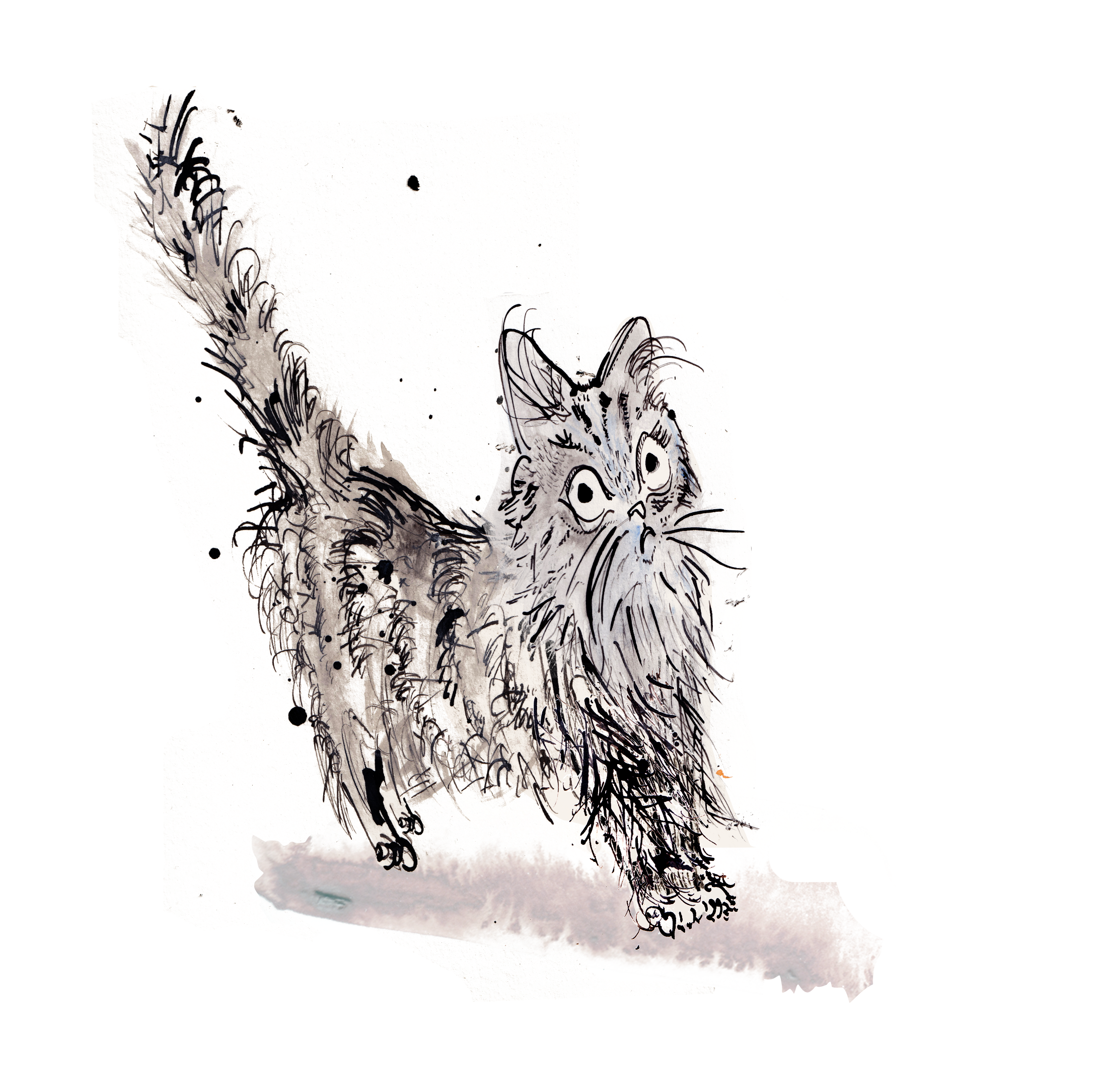 Cat with shadow play!! and white background_.png