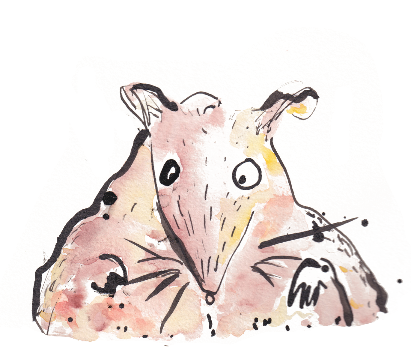 MOUSE WITHOUT COMPUTER_.png