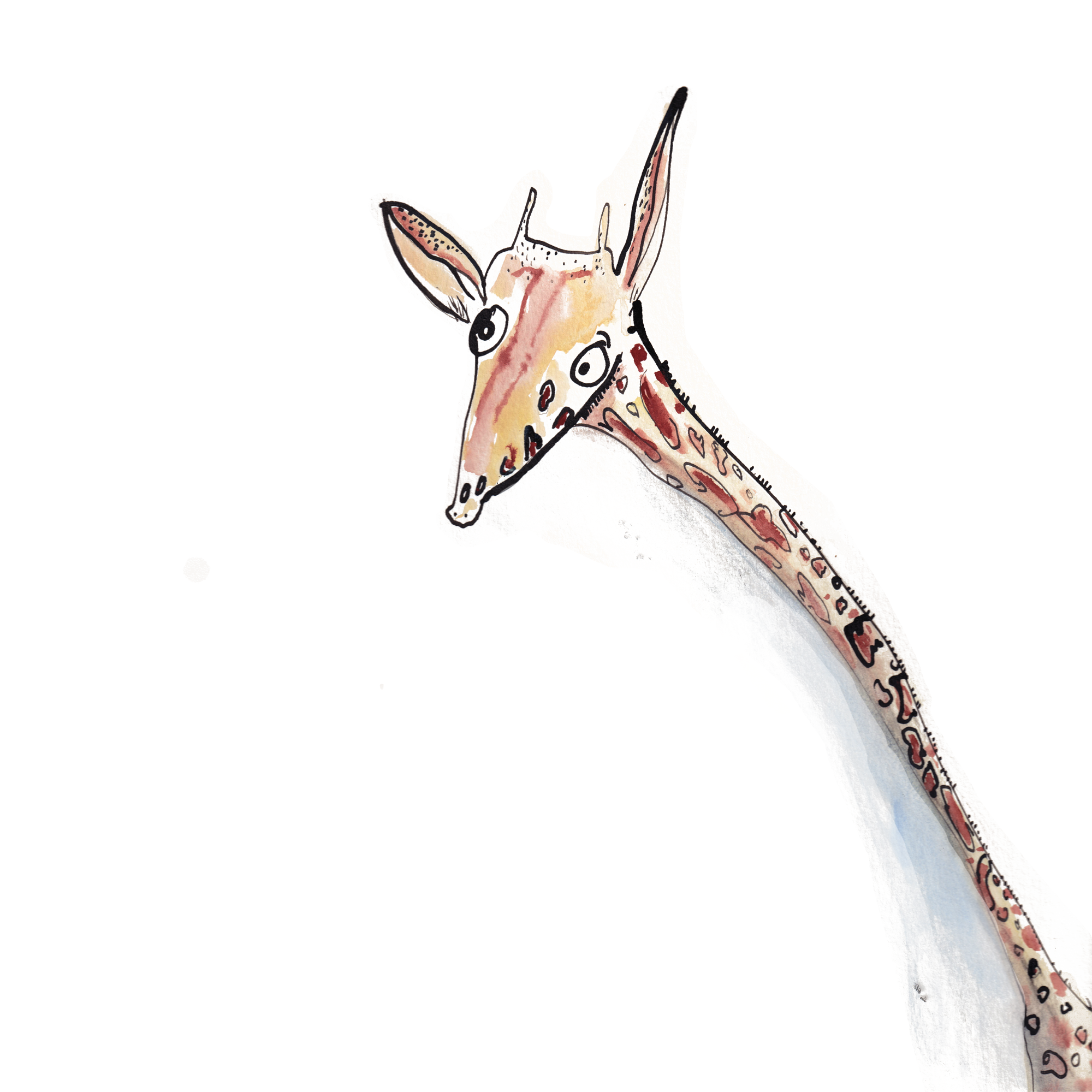 giraffe_.png