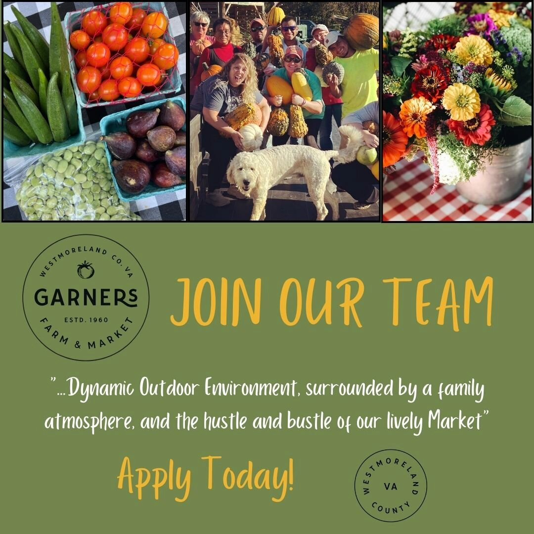 Our Roadside Market in Warsaw, VA is hiring! 🍅
Do you see yourself as someone who's passionate about fresh produce, enjoys the outdoors, and has a knack for quality customer service?! We have seasonal positions available! Check out our website to ap