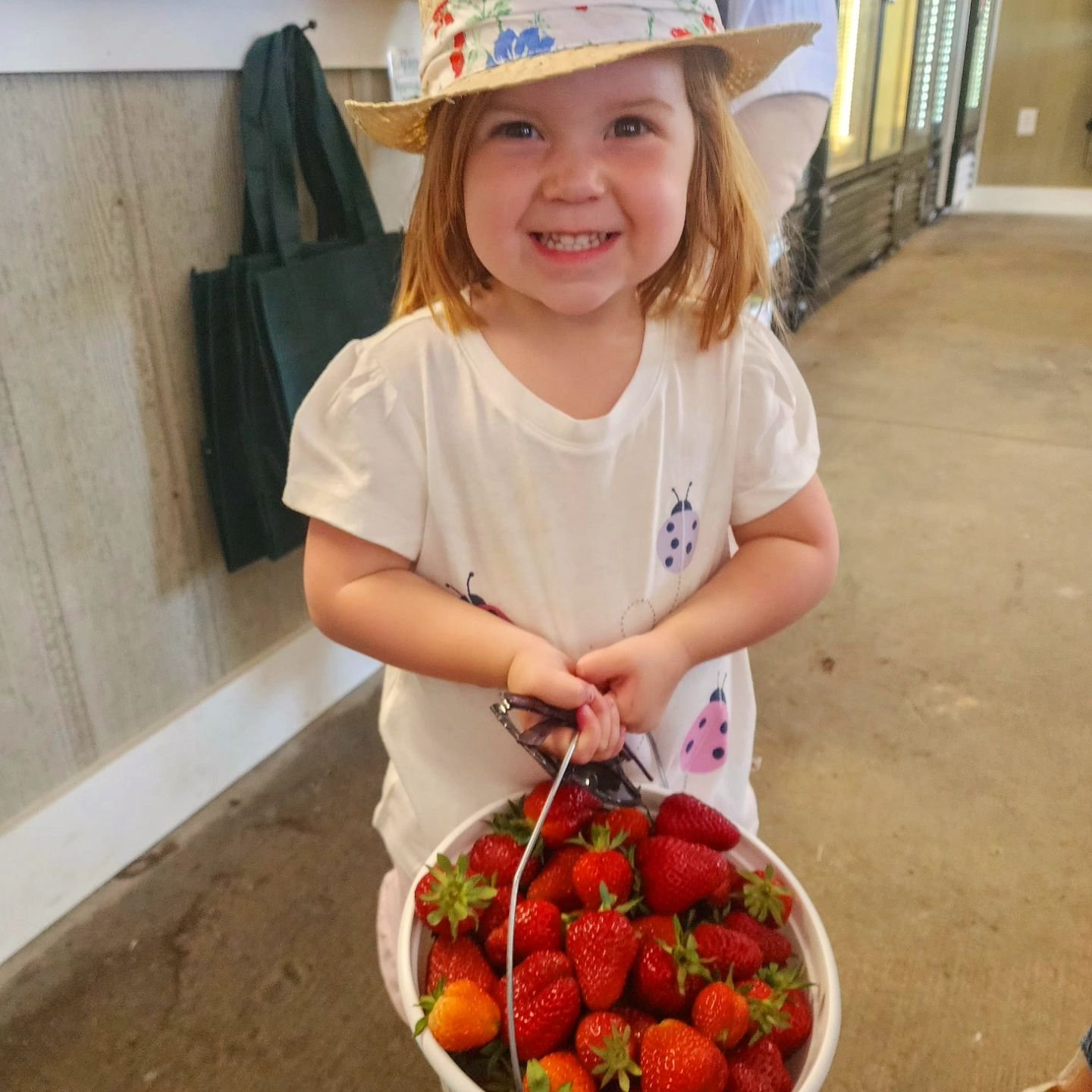Helen says, &quot;It's a beautiful week to enjoy the strawberry patches and sunshine at Garner's!&quot; Come out and pick all the strawberries you want! This weather has made the berries super sweet, wonderfully juicy, and plentiful! The fields are l