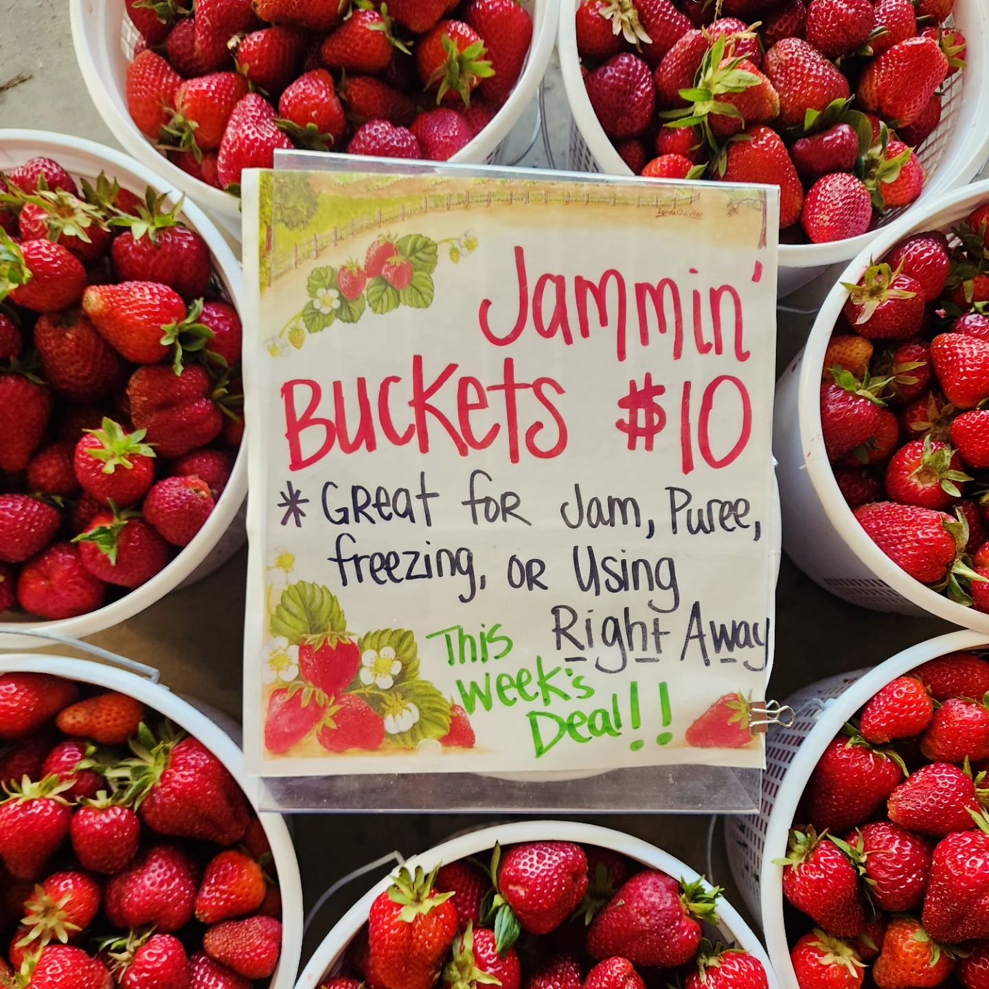 🍓🪣🍓🪣 This Week's Roadside Market Strawberry Deal! Get your Jam on while supplies last! 🍓🪣🍓🪣

⚠️Also, we appreciate everyone's patience as the road crews continue to work on Route 3. ⚠️ We are open and hope to see you! Strawberry patches are c