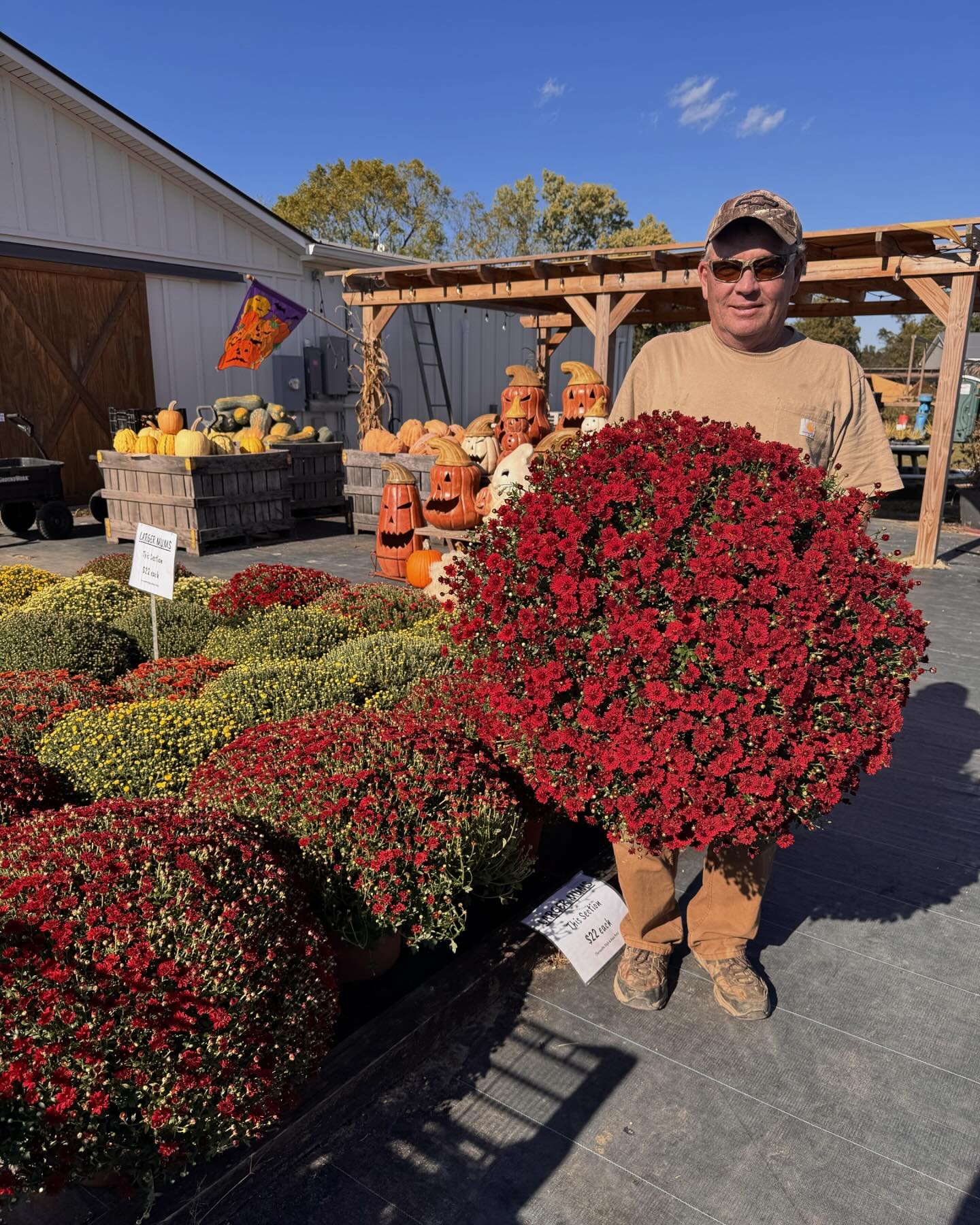 Our neighbors at Cherry Hill Greenhouses restocked us with the most beautiful mums today!