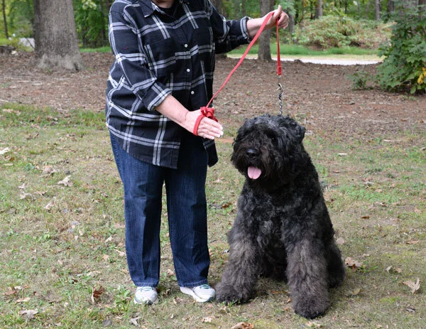 New Basic Class Starts July 14