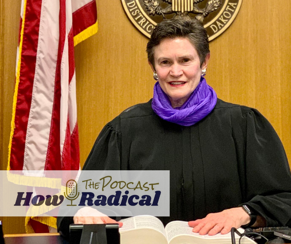 Episode 3: The Honorable Karen E. Schreier