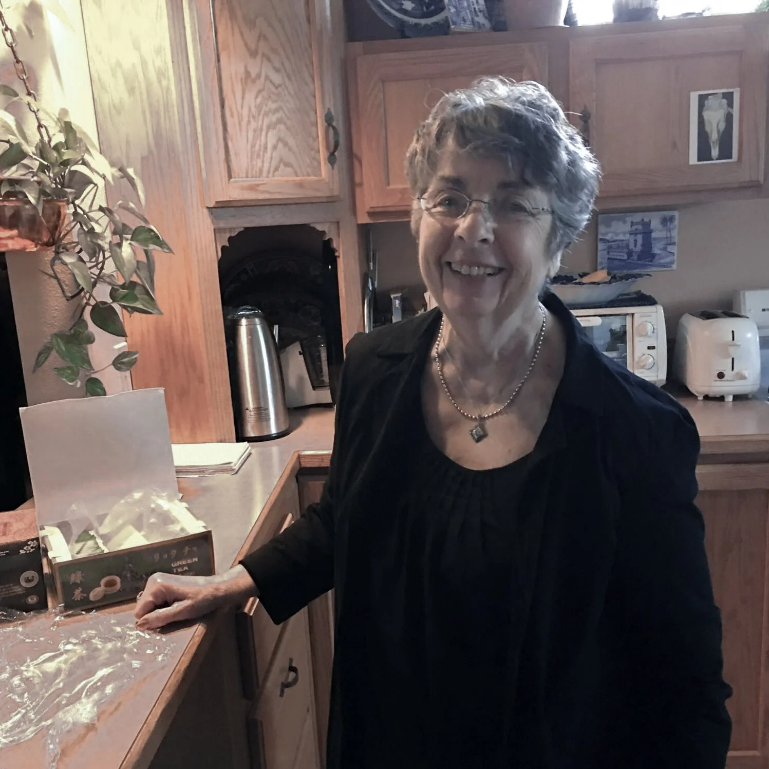 Ann Haber Stanton