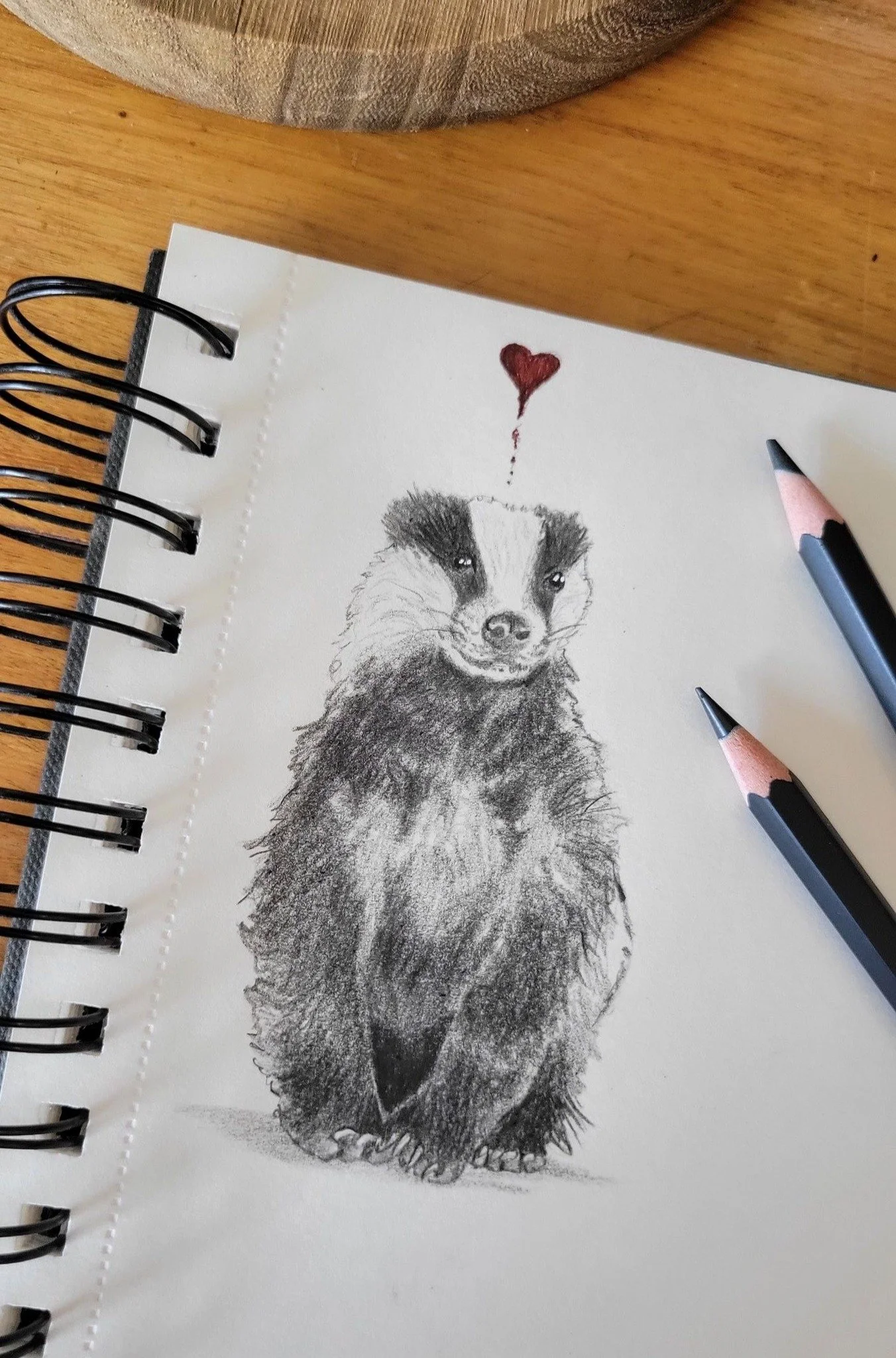 Little badger sketch - February 2025