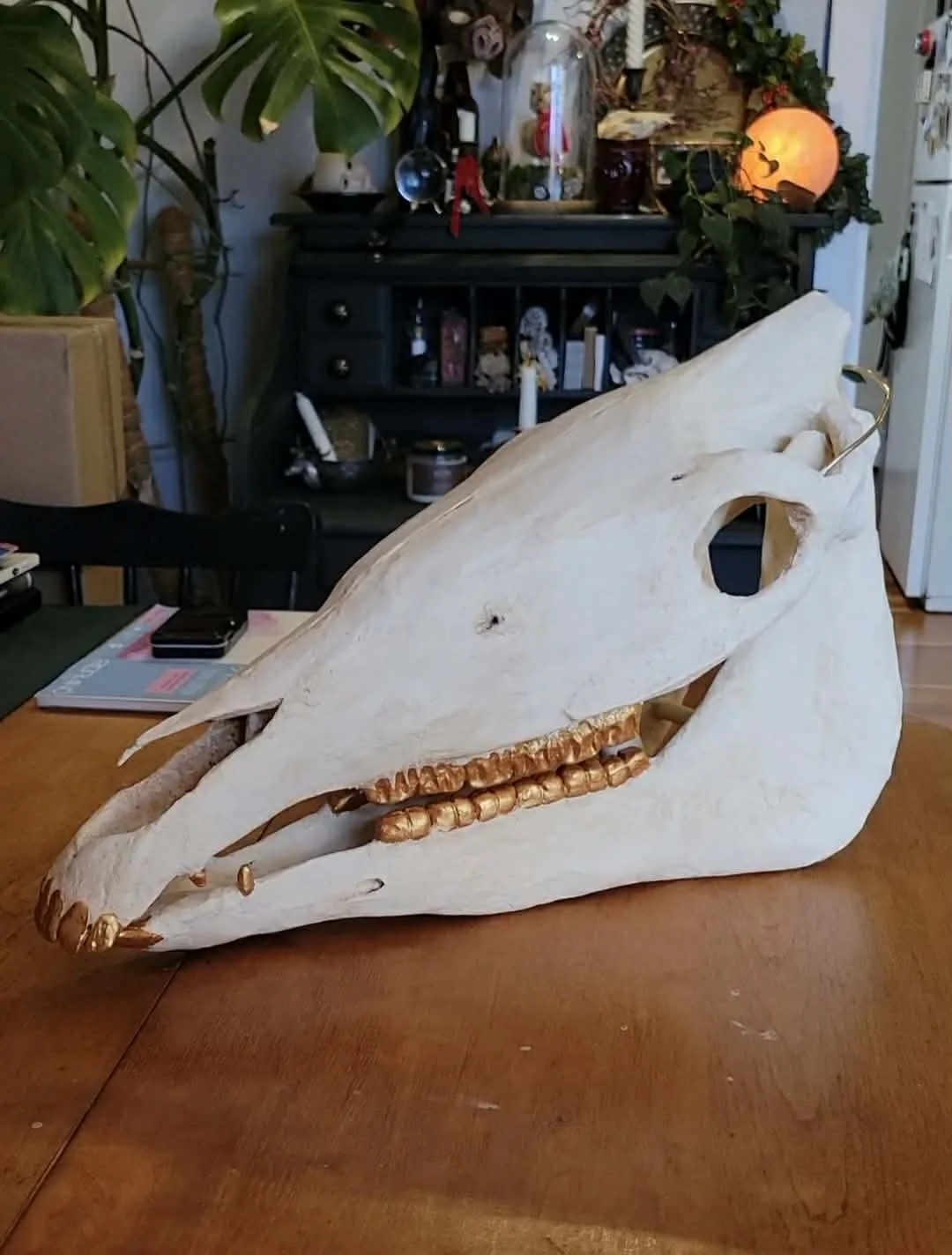 Horse Skull with Gold Teeth (life-sized) Papier-mache faux-taxidermy - December 2025