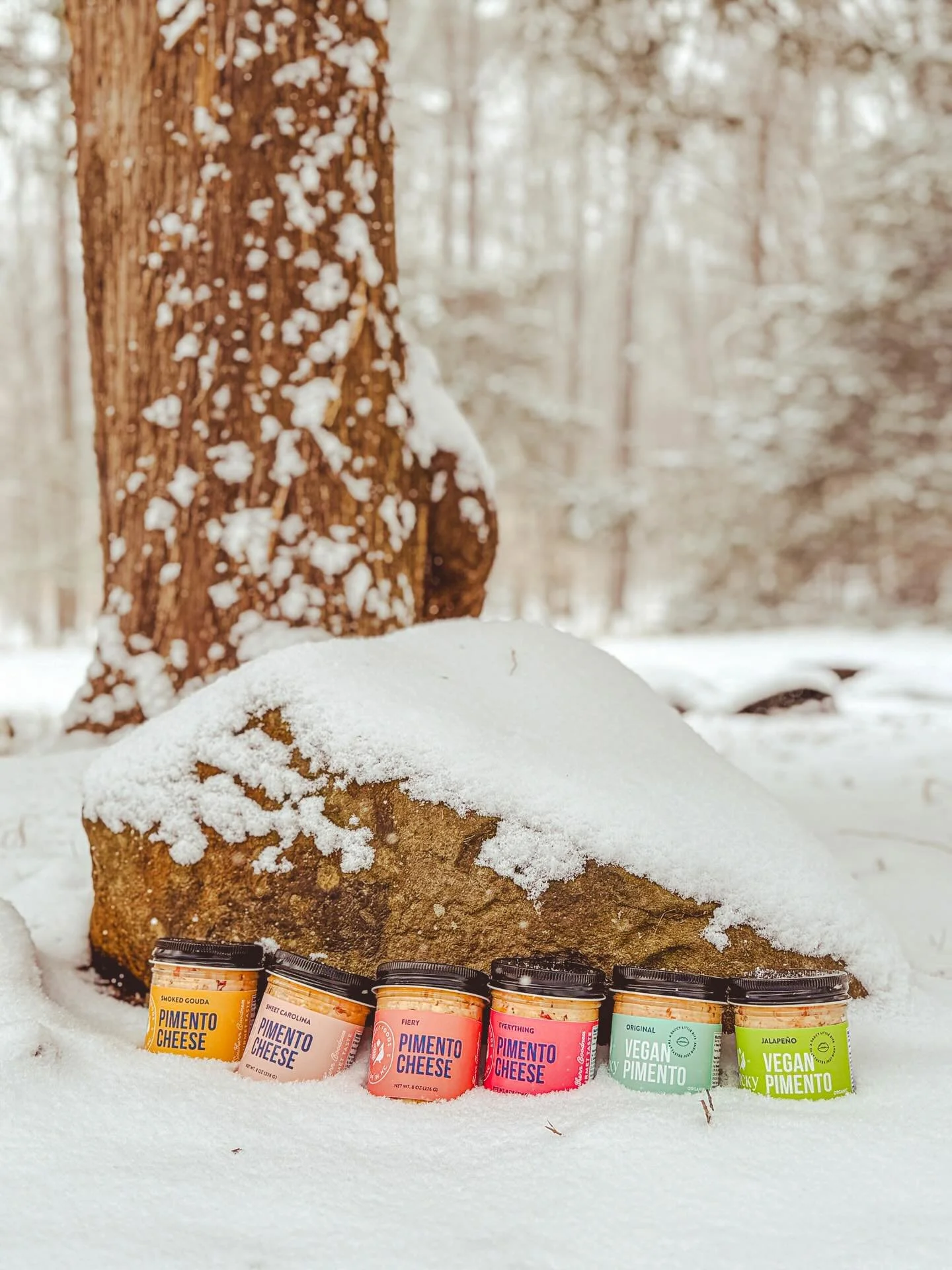 A little behind the scenes snowy day photo op with Maya waiting patiently for me to play 🐶🤎

#finickyfoods

#waxhawnc 

#snOMG

#ncwinter

#januarysnow