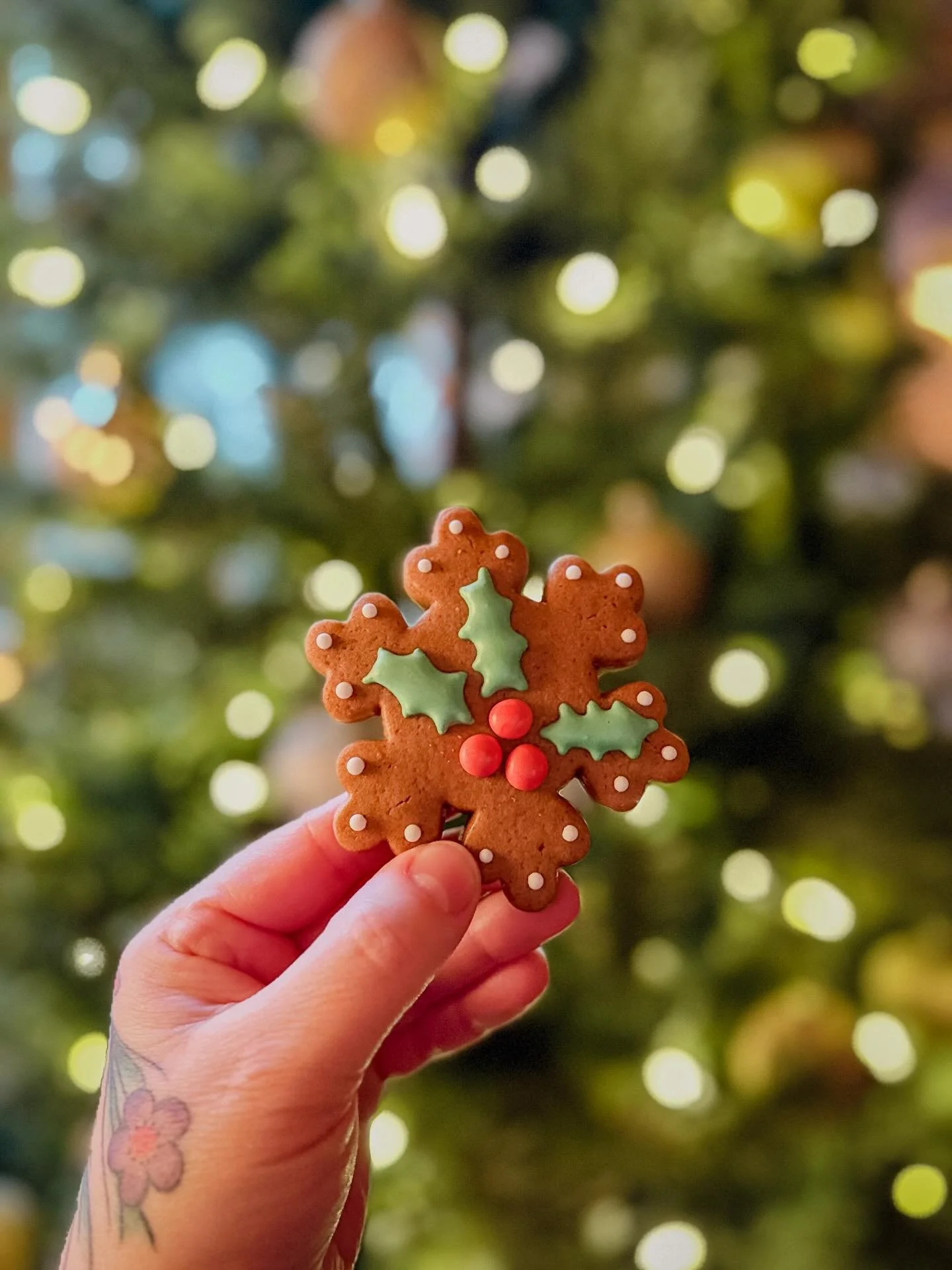 Royal Icing Magic 🪄
((ignore the upside down window landscape, it was a rushed photo op))

Last Christmas my husband surprised me with a 10-tray dehydrator. Decorating with royal icing has never been so much fun! Making layers,  transfers and intere