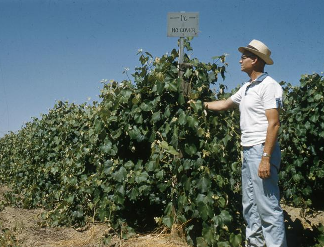 Screenshot 2026-01-16 130058.png