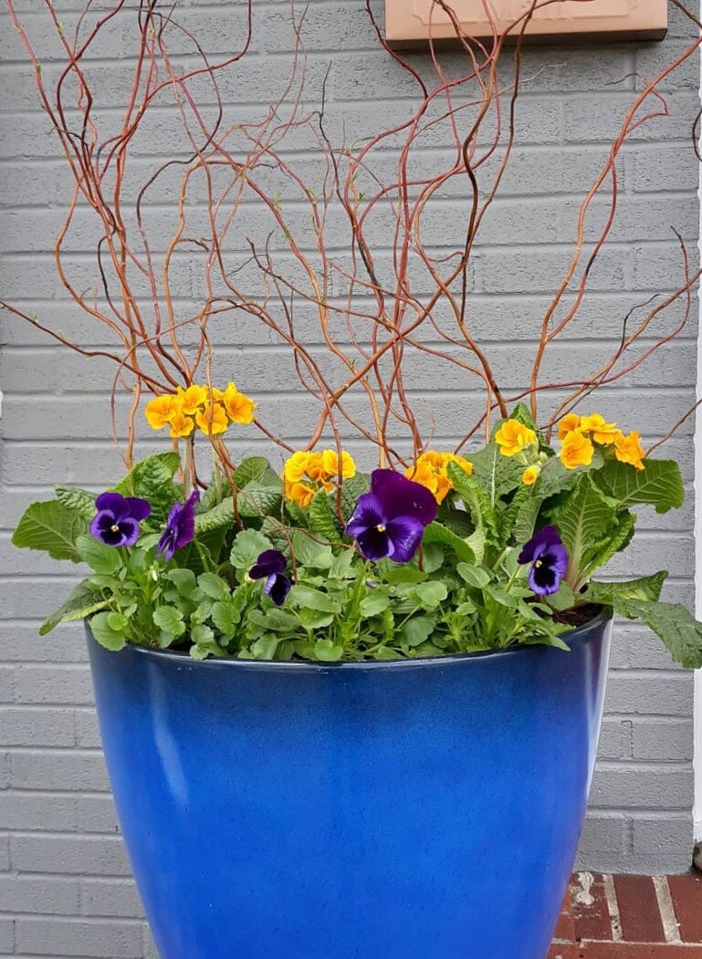 spring_blue_planter.jpg