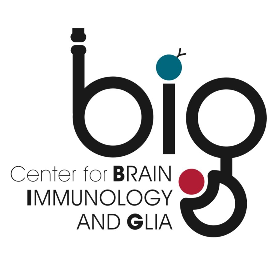 Now accepting applications for the BIG Scholars Symposium