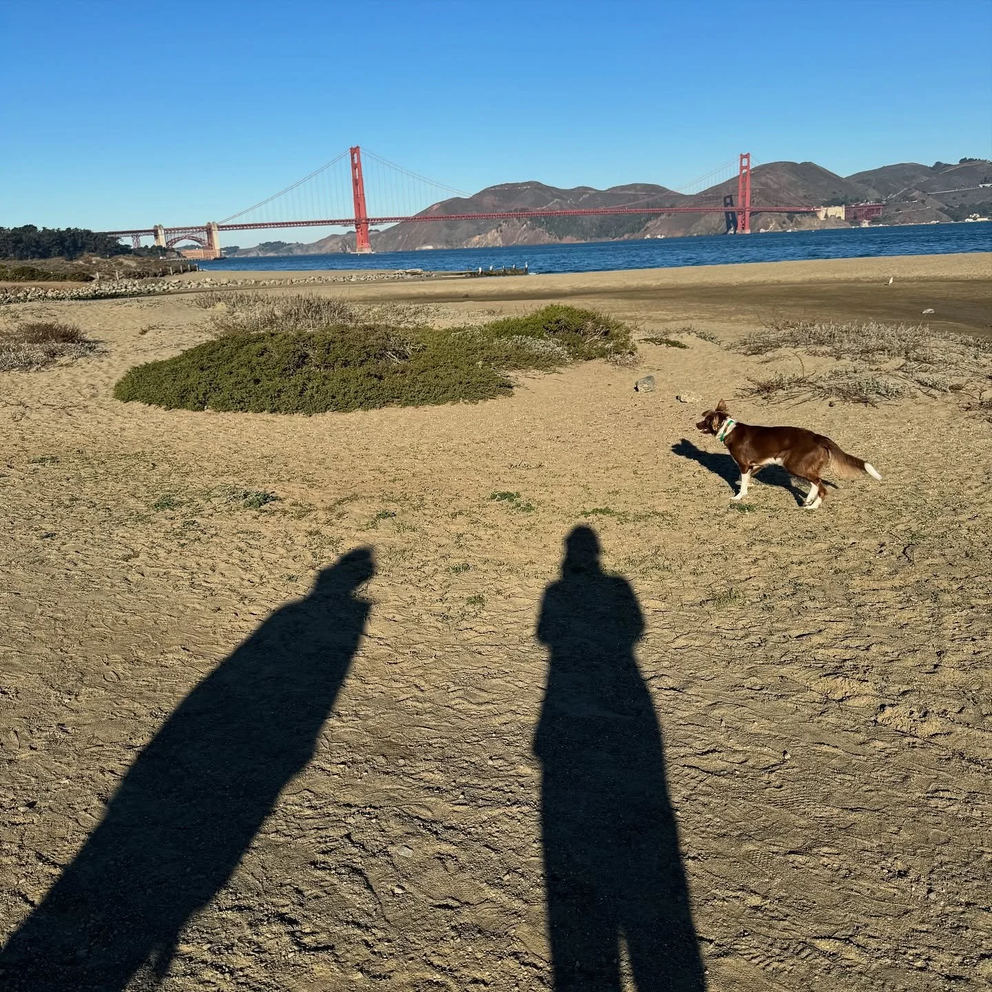 The Gate this morning.