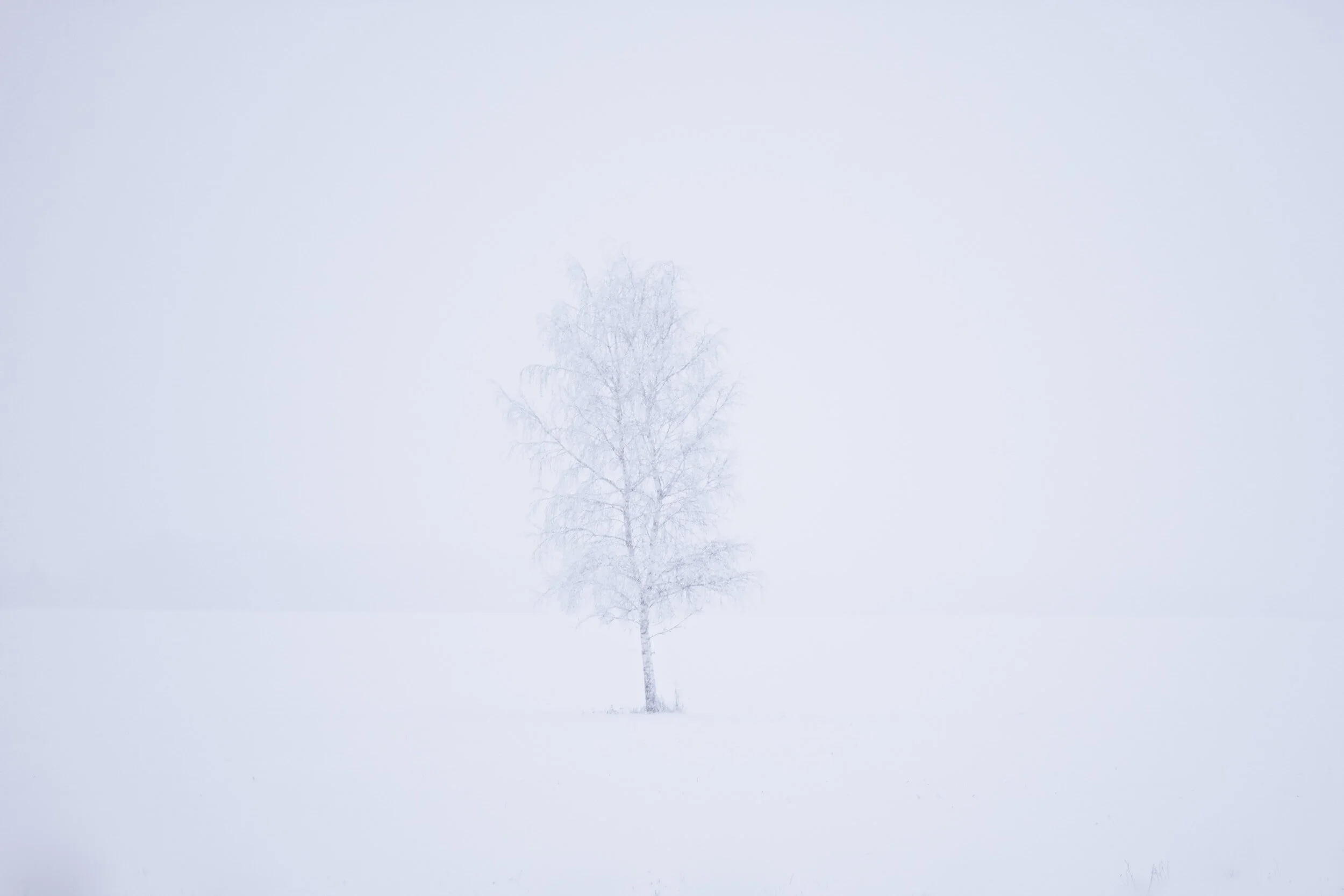 Tackling seasonal depression