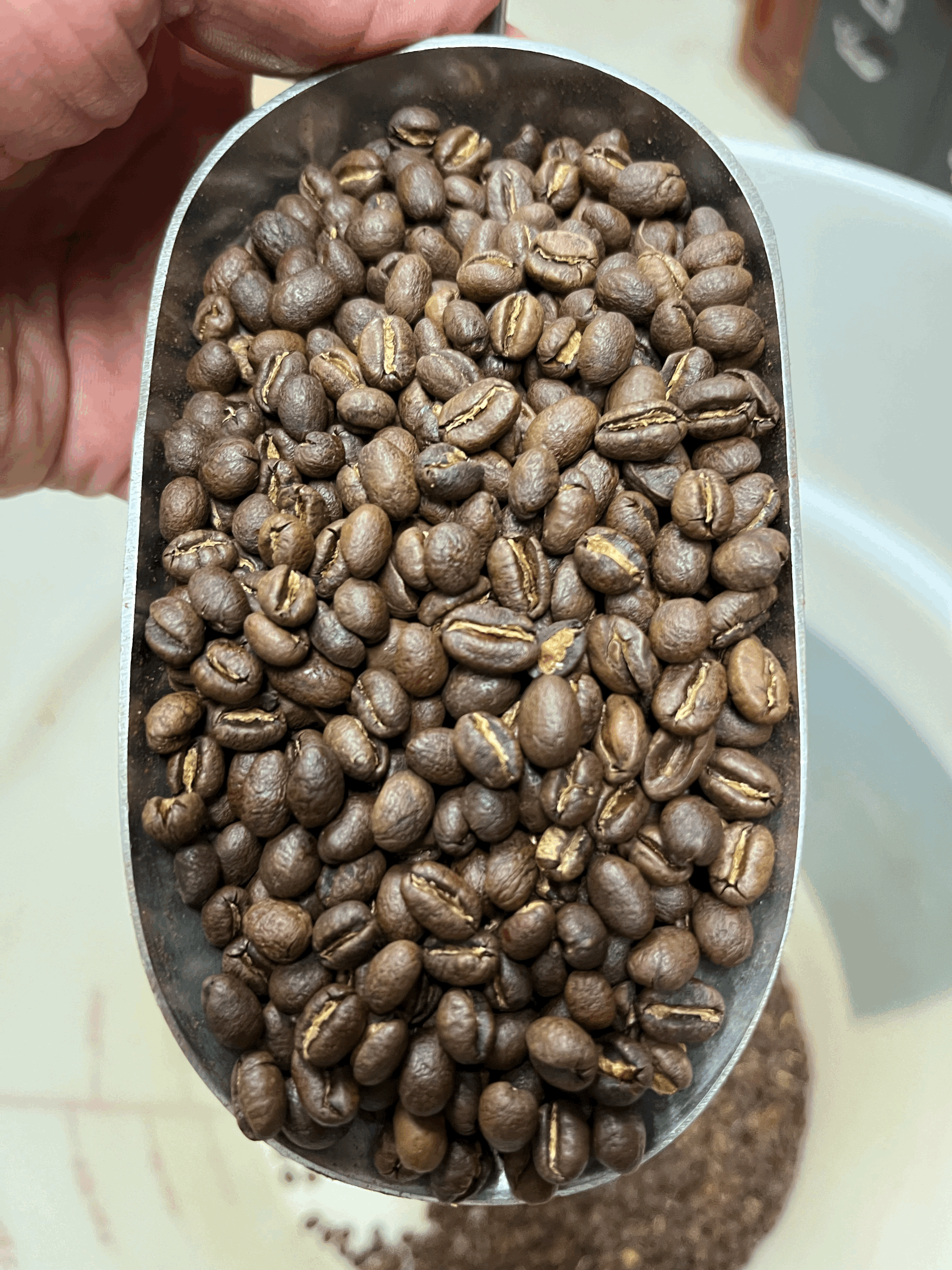 tempImageQoro7v.gif