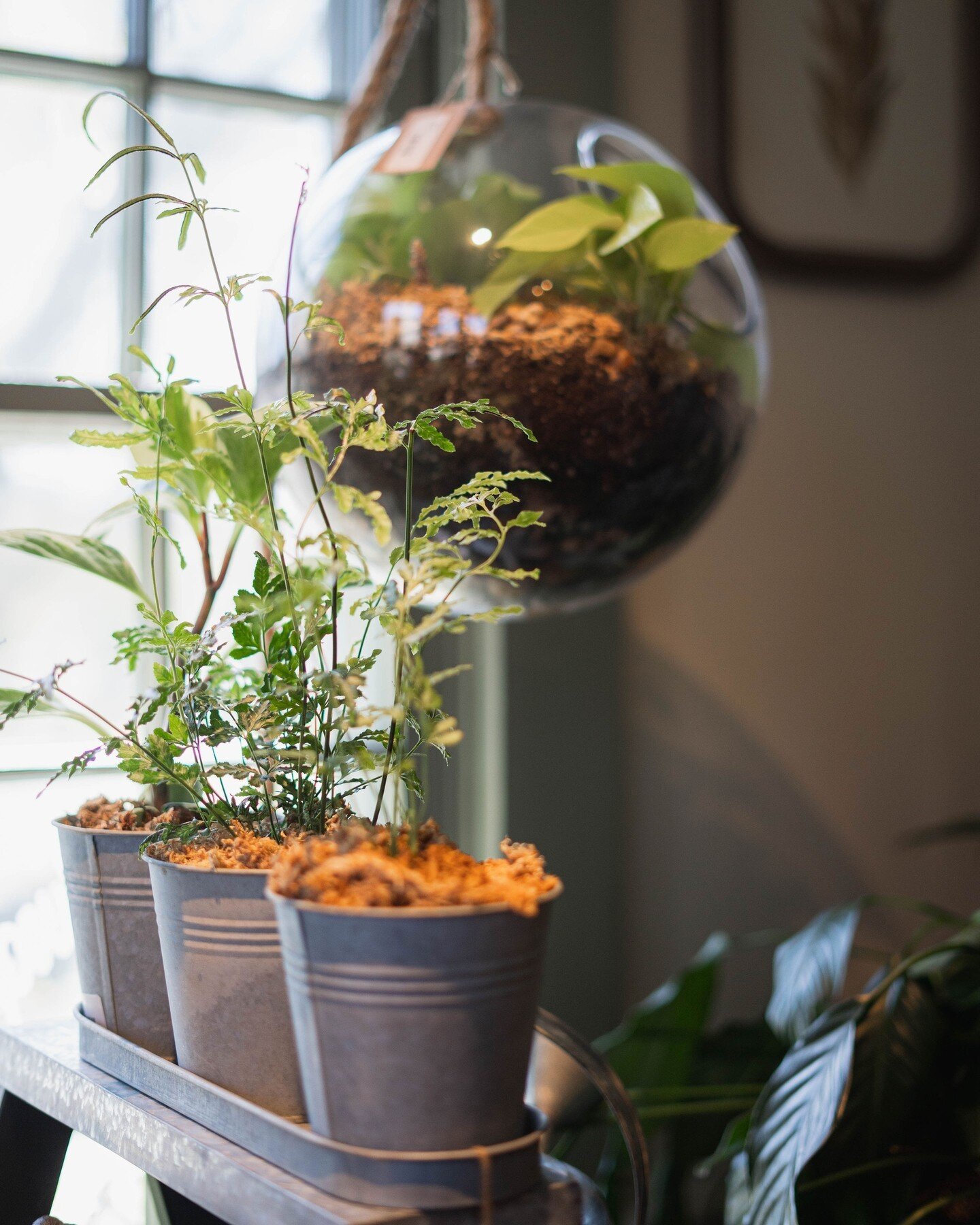 It&rsquo;s time to get growing!  Your plants will thank you for giving them the home they need to thrive. Choose from a variety of durable planters and glass terrariums at our Garden + Home store.