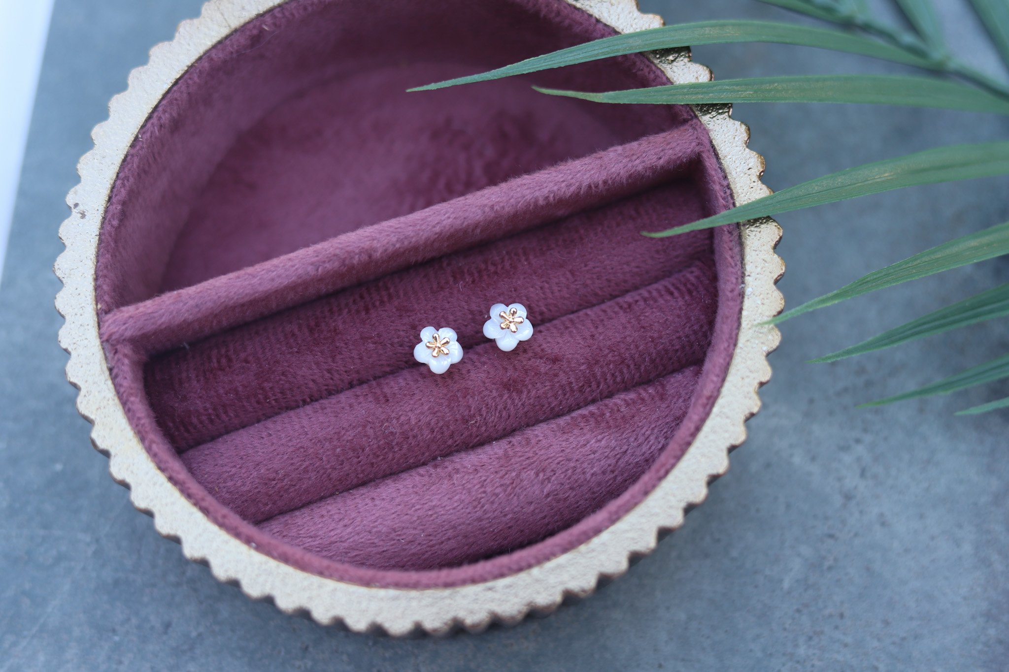 Perfect Petunias