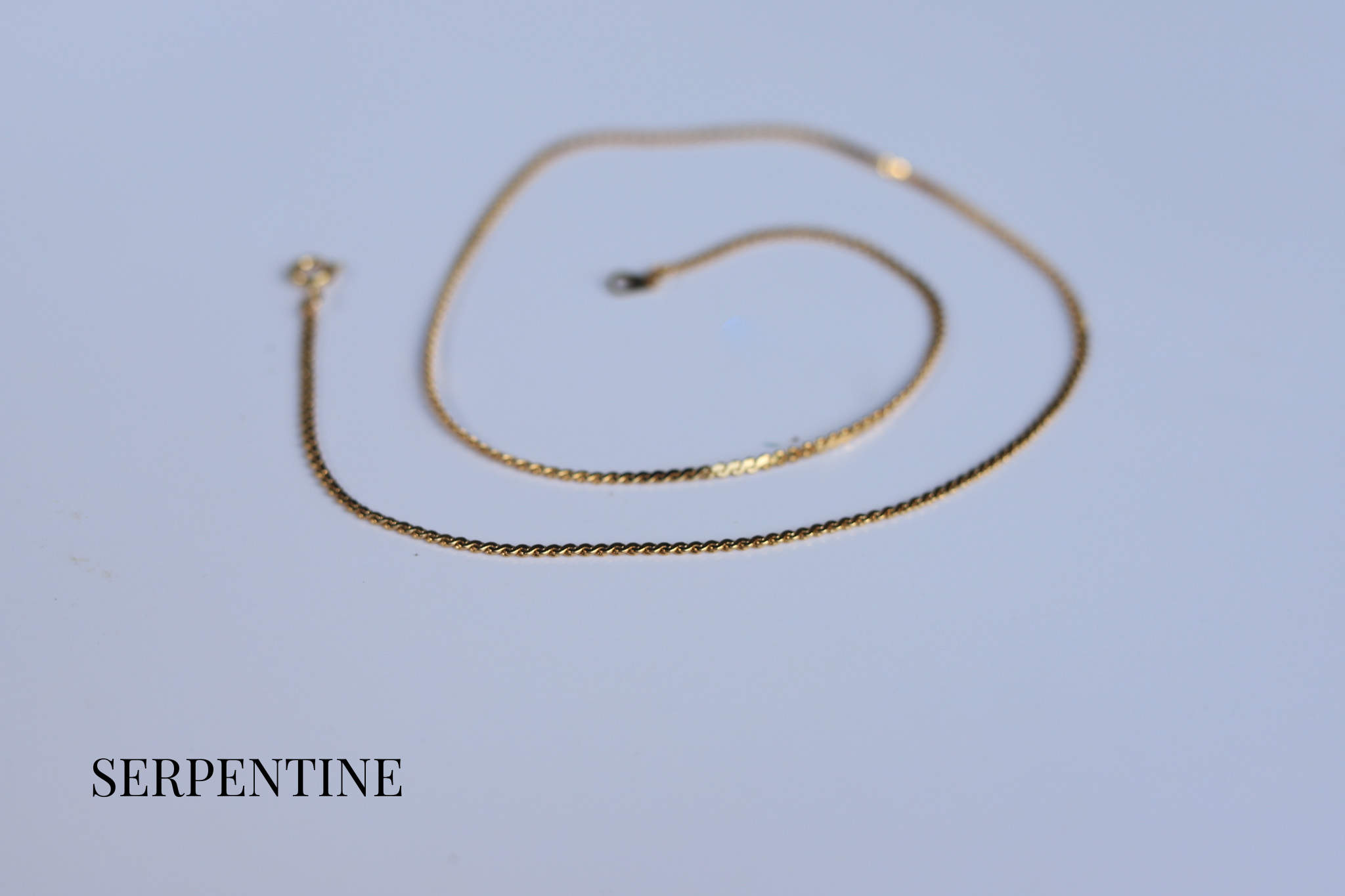 serpentine (1).png