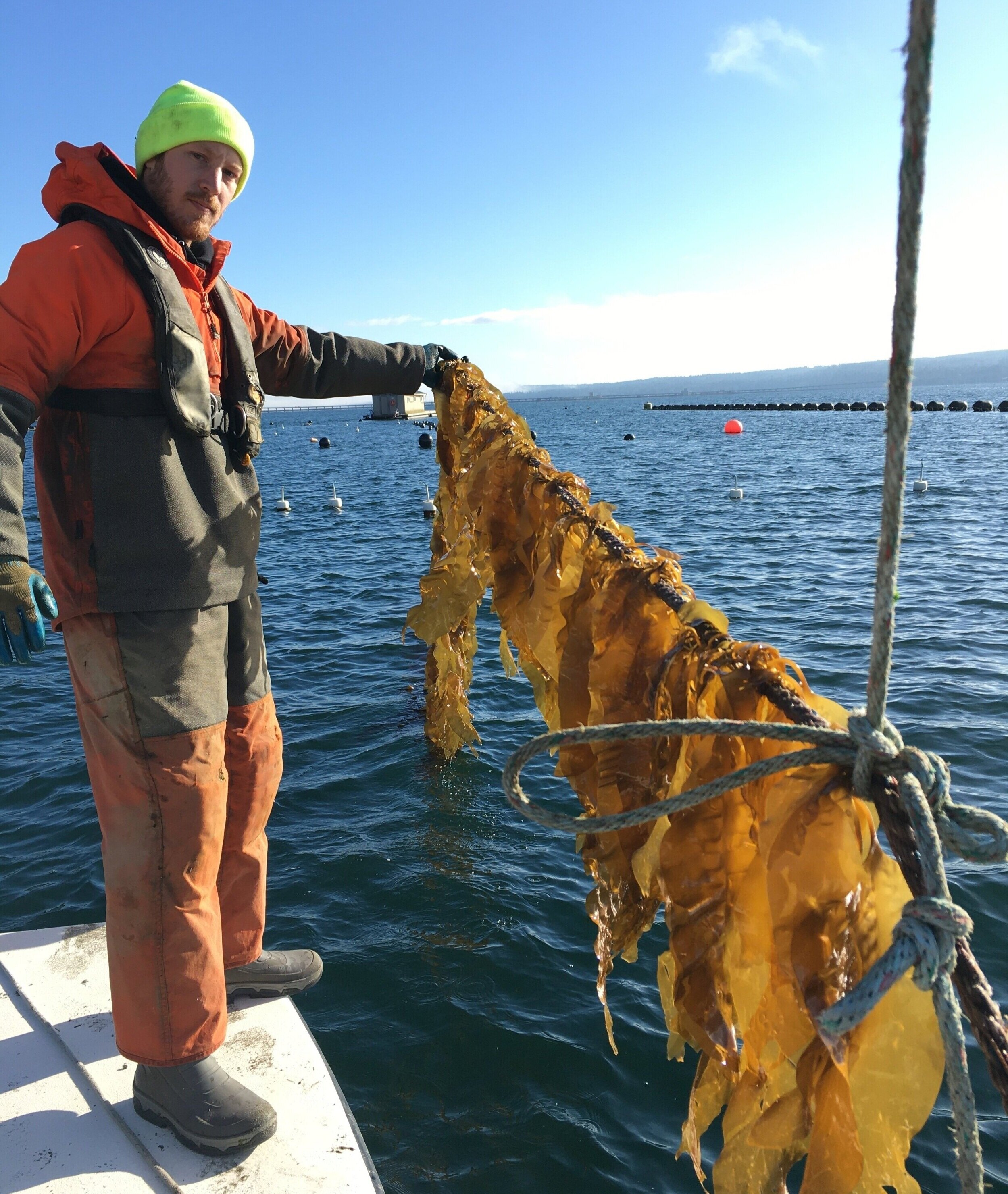 Hood Canal Mariculture
