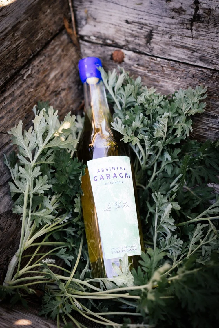 Copie de HL_llumineau-4.jpg