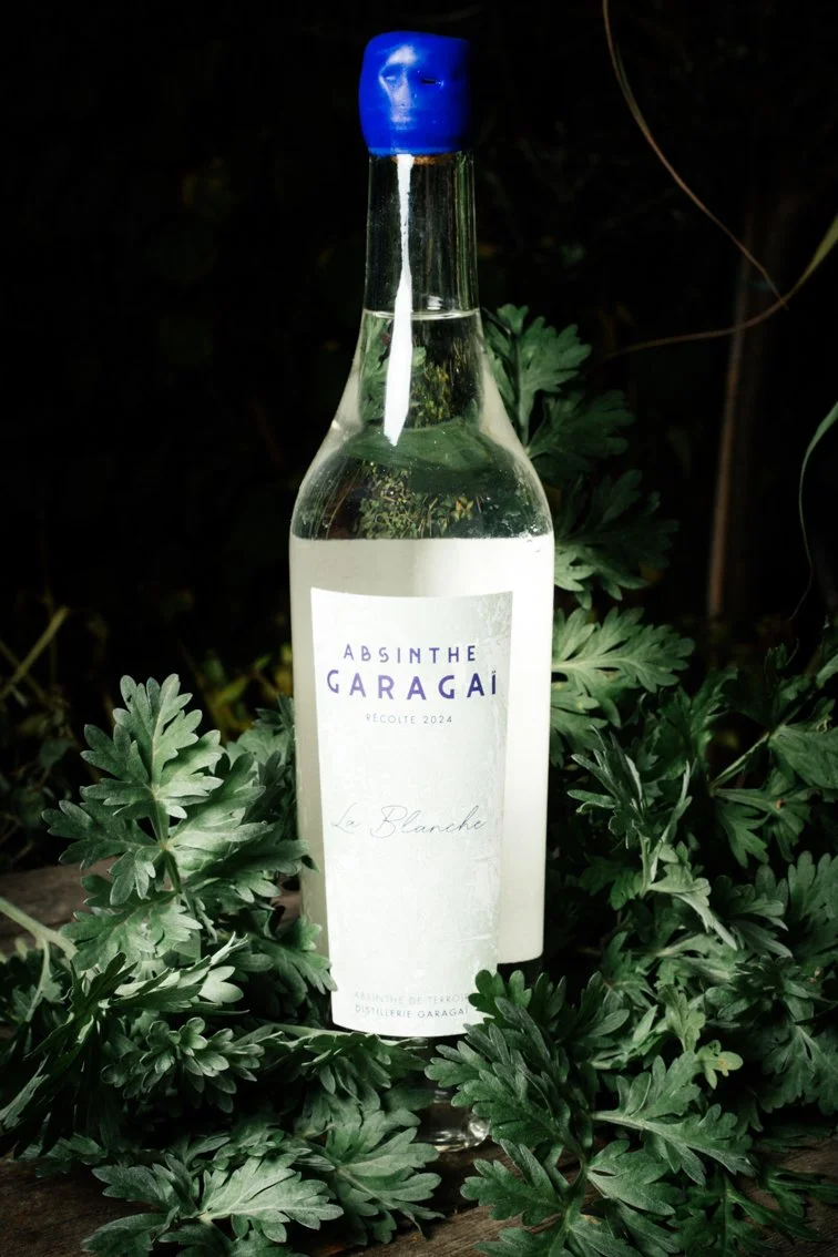 Absinthe Blanche Garagaï - récolte 2024