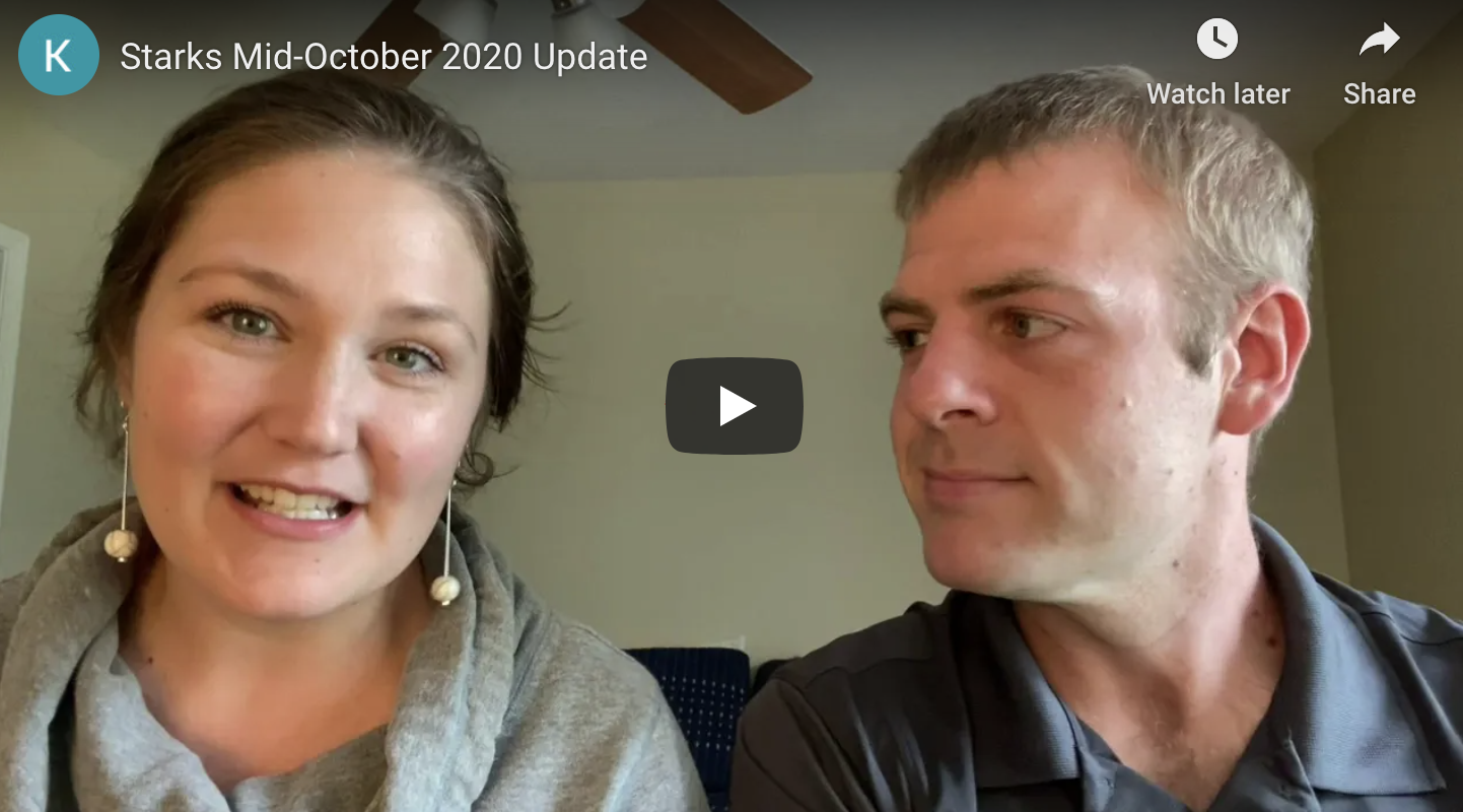 Video - Mid-October Update Time