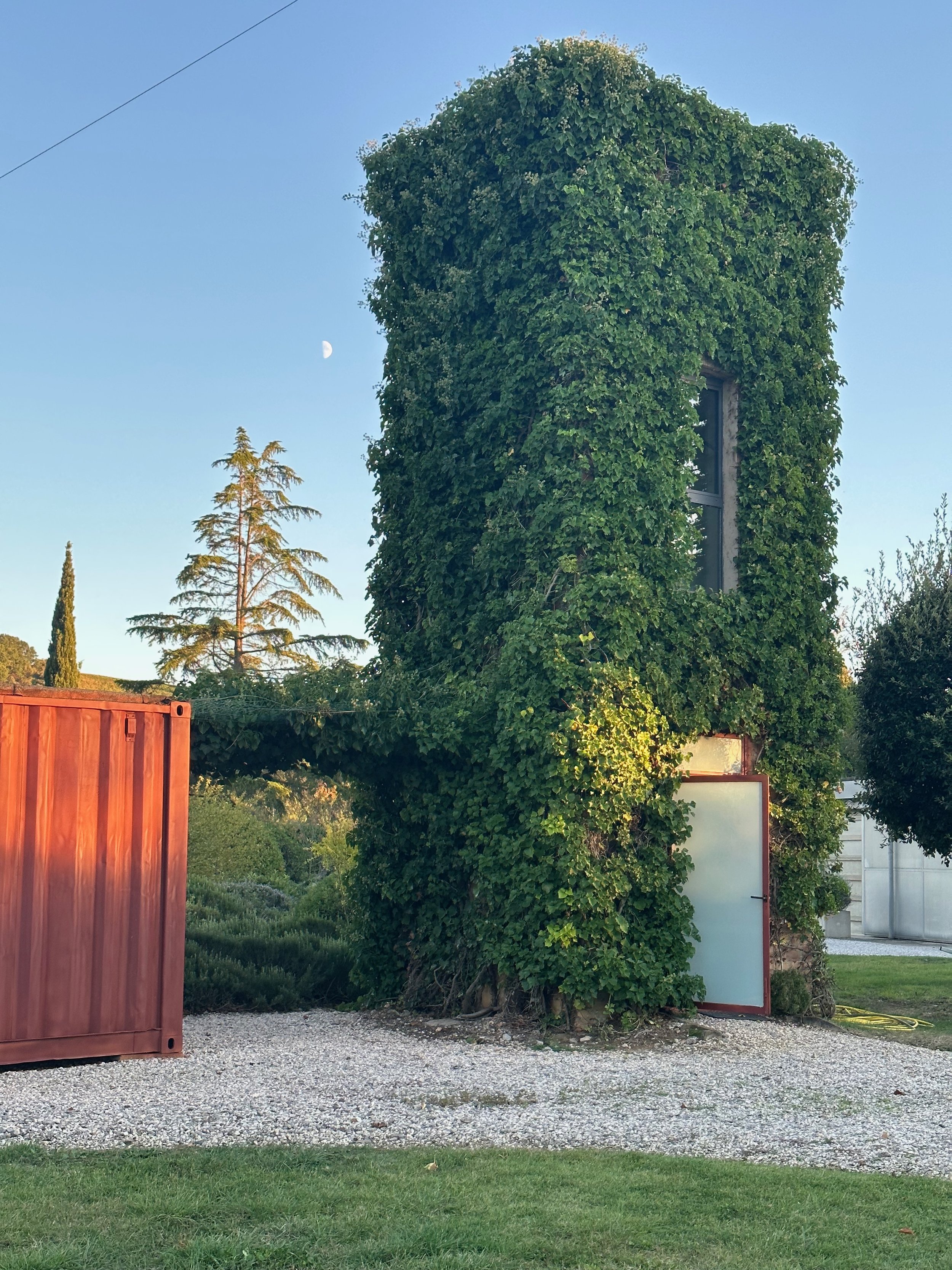 A structure covered in green ivy with a small window and a door at the base, surrounded by trees, a gravel area, and a clear blue sky with a visible moon.