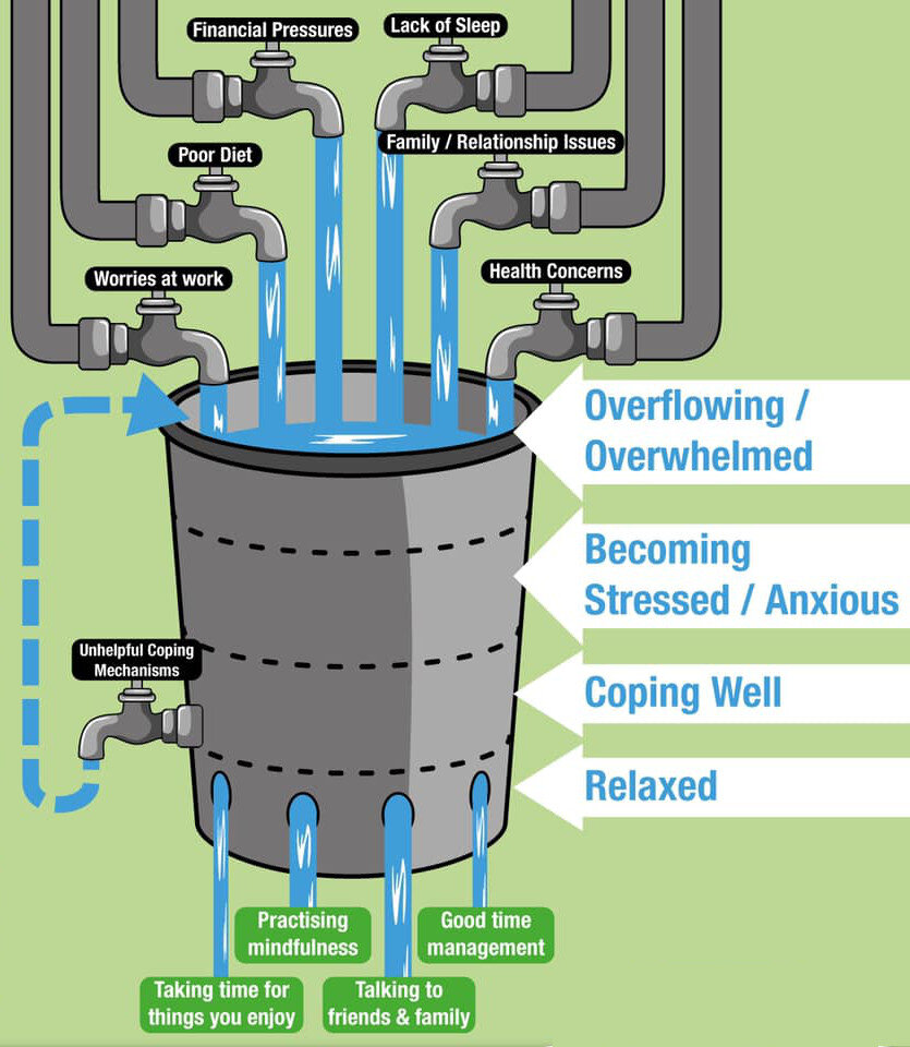 The Stress Bucket - Adapted from Claudette Mestayer’s excellent original.