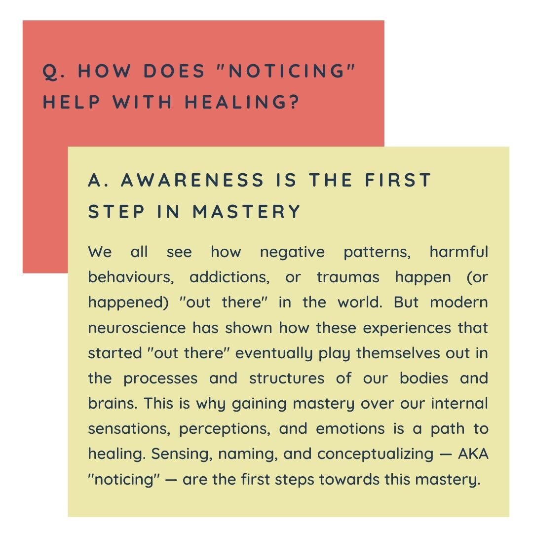 Everyone from well meaning friends, to wellness influencers, to therapists is asking us these days to &quot;notice&quot; what's coming up for us. It can be annoying: why, we ask. What's the point? I don't hear an explanation of the purpose of noticing as often as I hear it being suggested as a healing practice.⁠
.⁠
Noticing was not a part of therapeutic conversation in Freud's day, and it's not a part of Cognitive Behaviour Therapy, for example. Noticing work is an outcome of modern neuroscience and a closer understanding of the way that our experiences shape the very processes and structures that make up the daily rhythms of life. And traumatic experiences can be defined as experiences which UPSET those daily rhythms. ⁠
.⁠
What rhythms are we talking about though? The basics of life as an organism. Breathing in and out. Eating and digestion. Muscle relaxation and muscle bracing. Restful sleep and vivid awakeness. Our bodies naturally, constantly, and rhythmically move back and forth b