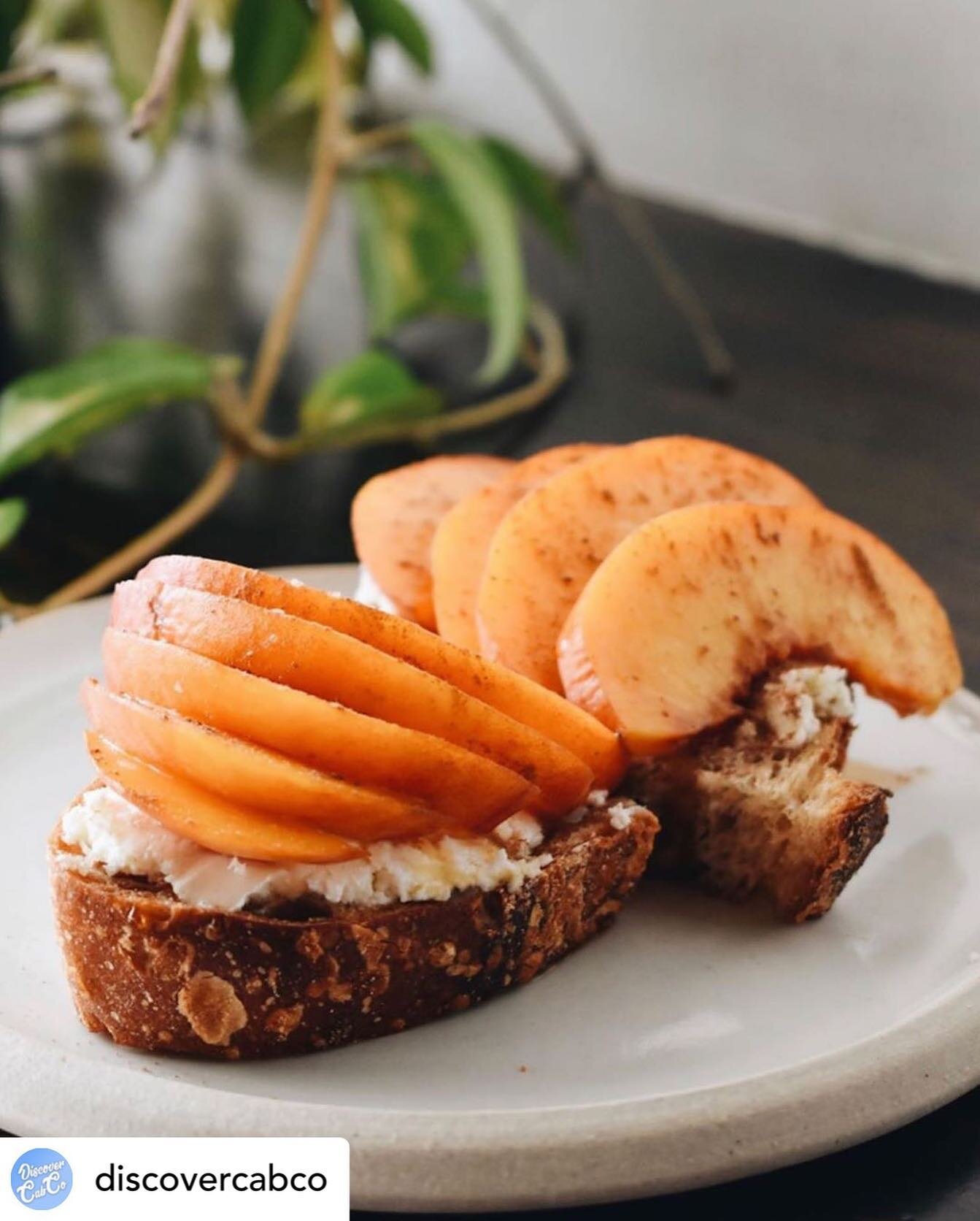 Check out @groundwork.common &lsquo;s new peaches and cream toast made with our maple syrup! 

Posted @withregram &bull; @discovercabco Start your weekend off right with a Peaches and Cream from @groundwork.common! You will not be disappointed.

- Wh