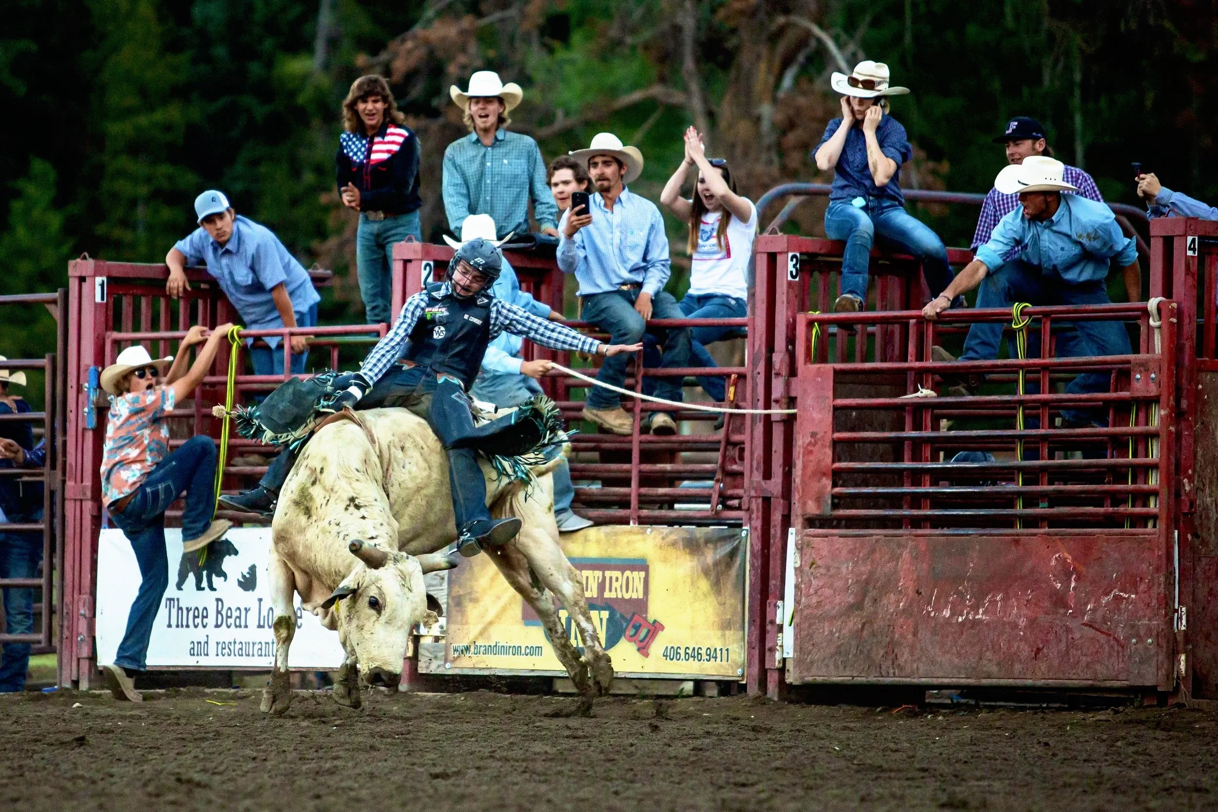 A rodeo event with a bull rider on a bucking bull, surrounded by spectators and officials, some wearing cowboy hats. The event is taking place outdoors with a fence and trees in the background.