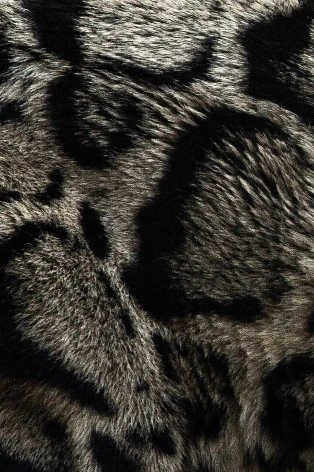 Close-up of a sleeping leopard's face showing detailed fur and closed eyes.