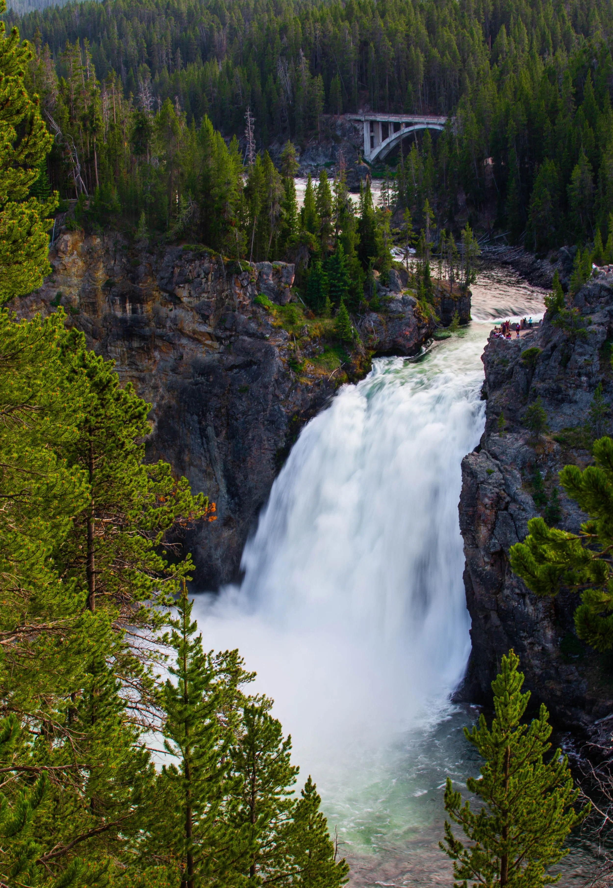 Waterfall cascading through a rocky canyon surrounded by dense green trees, with a bridge visible in the background.