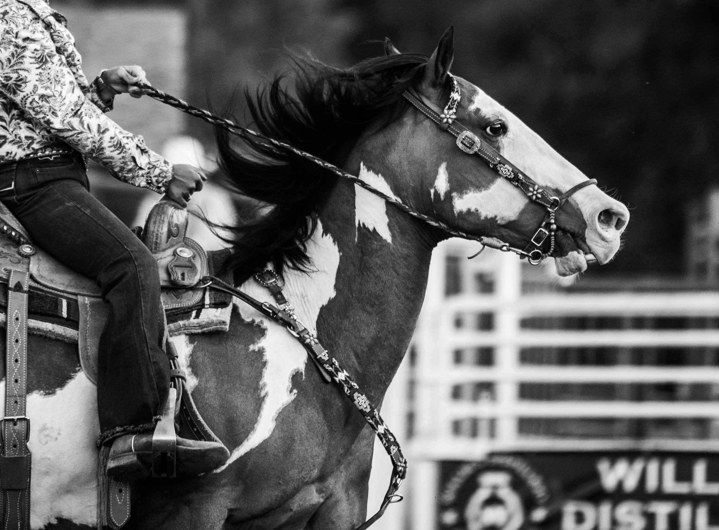 A person riding a horse, holding the reins, on a racetrack or rodeo arena. The photo is black and white, focusing on the horse’s head and rider’s torso. The horse has a decorated bridle and the rider is dressed in patterned clothing.